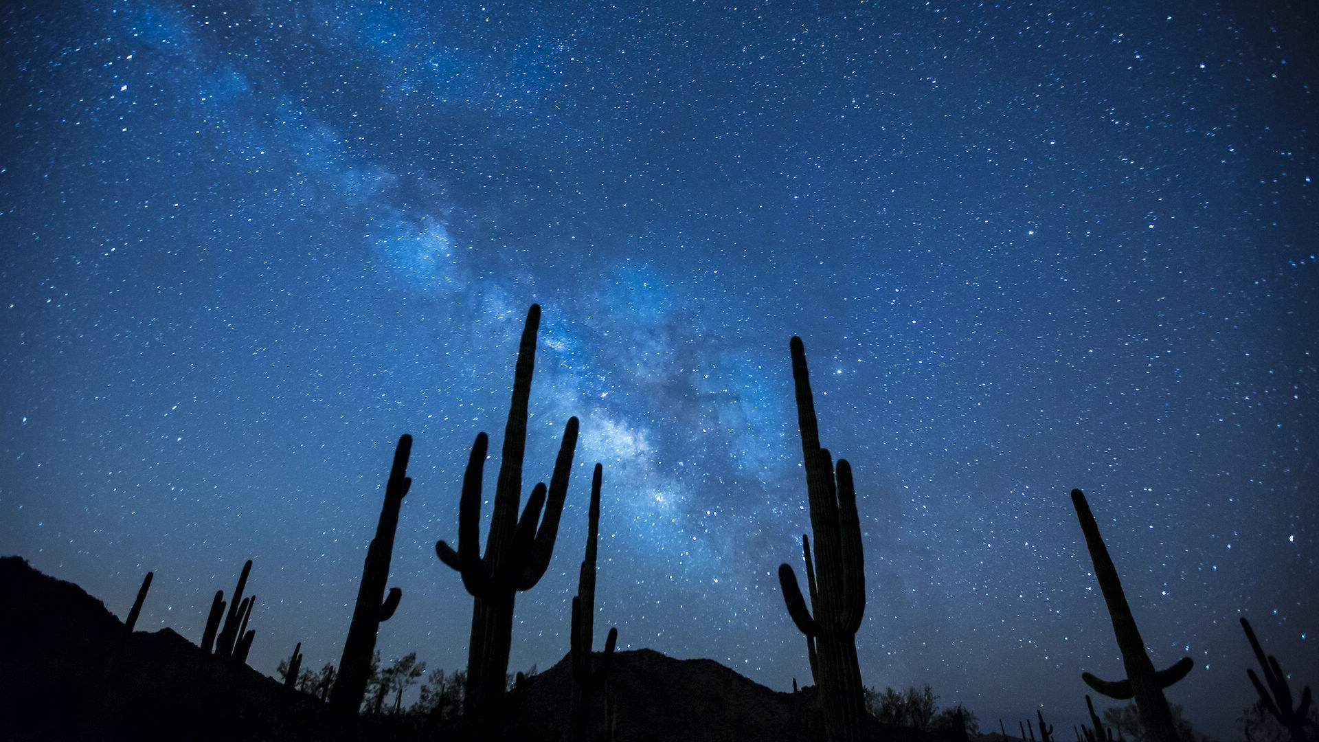 夜晚  星星