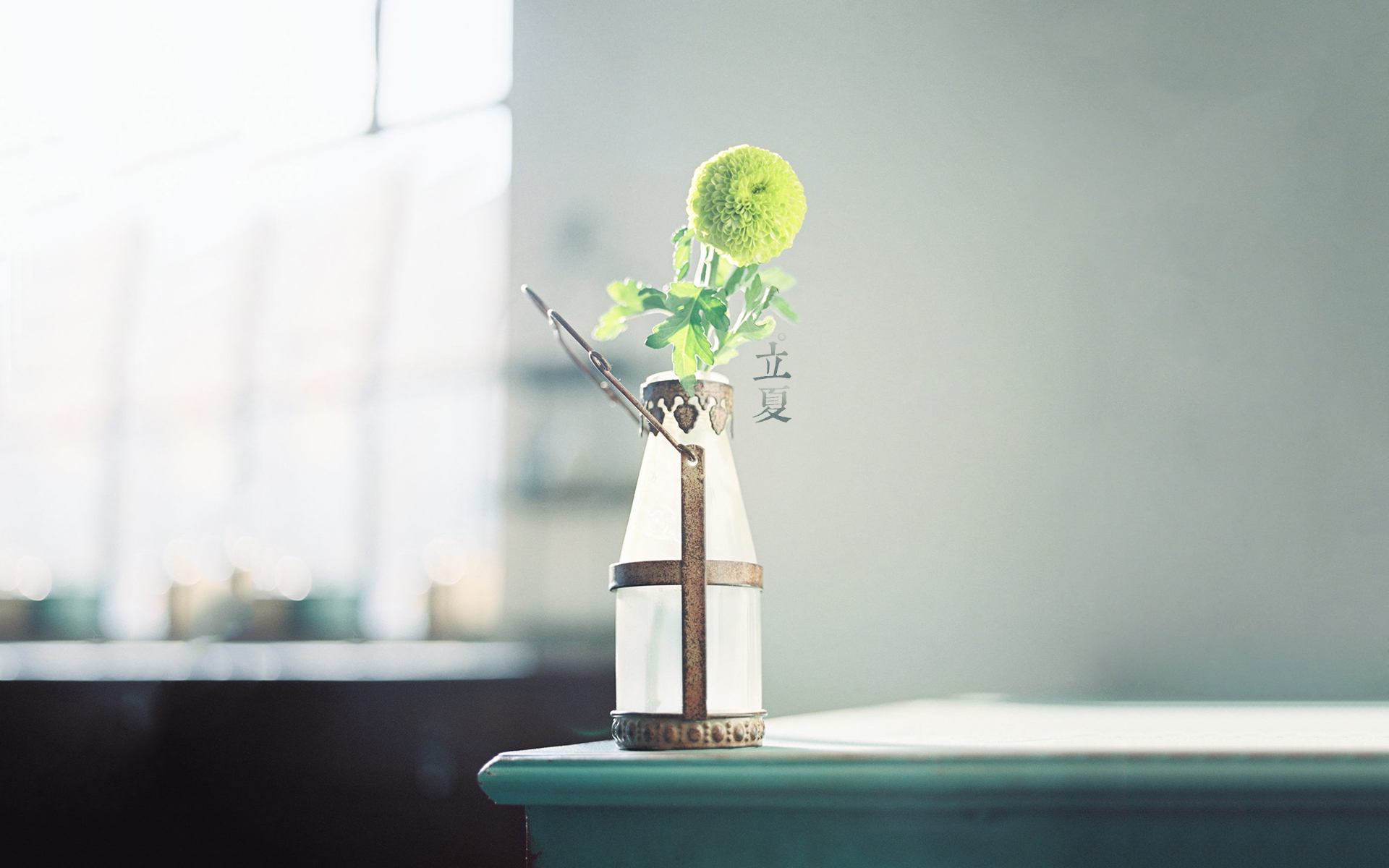节日 节气 立夏 清新 宽屏