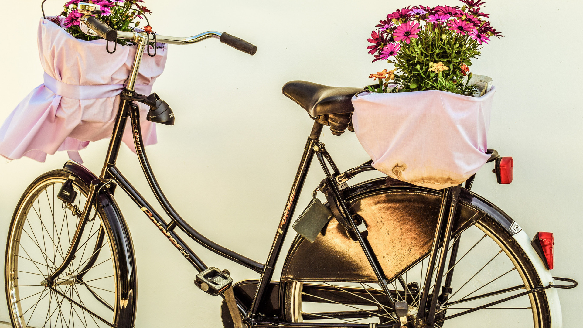 小清新 静物写真 自行车 花朵 花卉