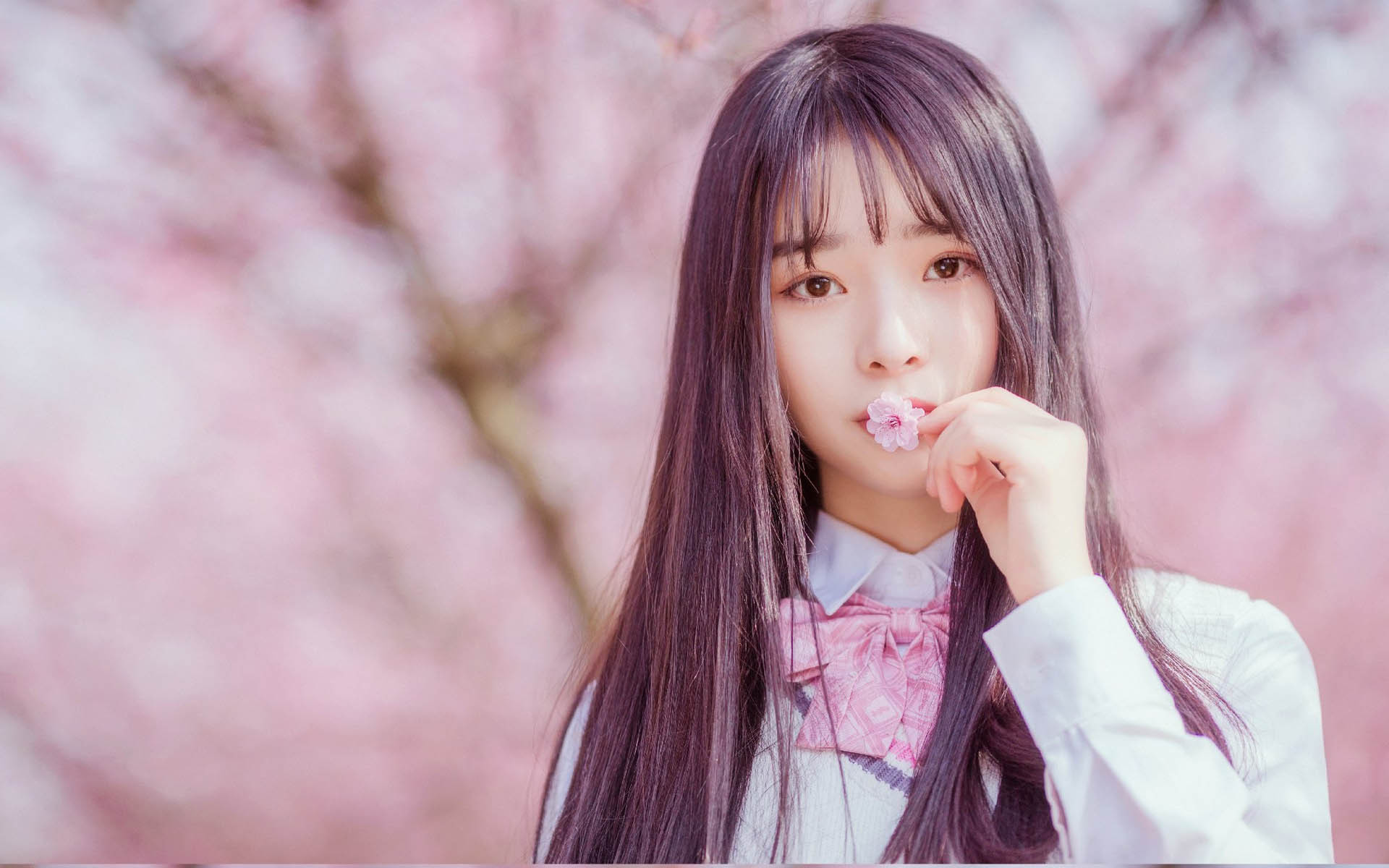 清纯 文艺唯美 桃花