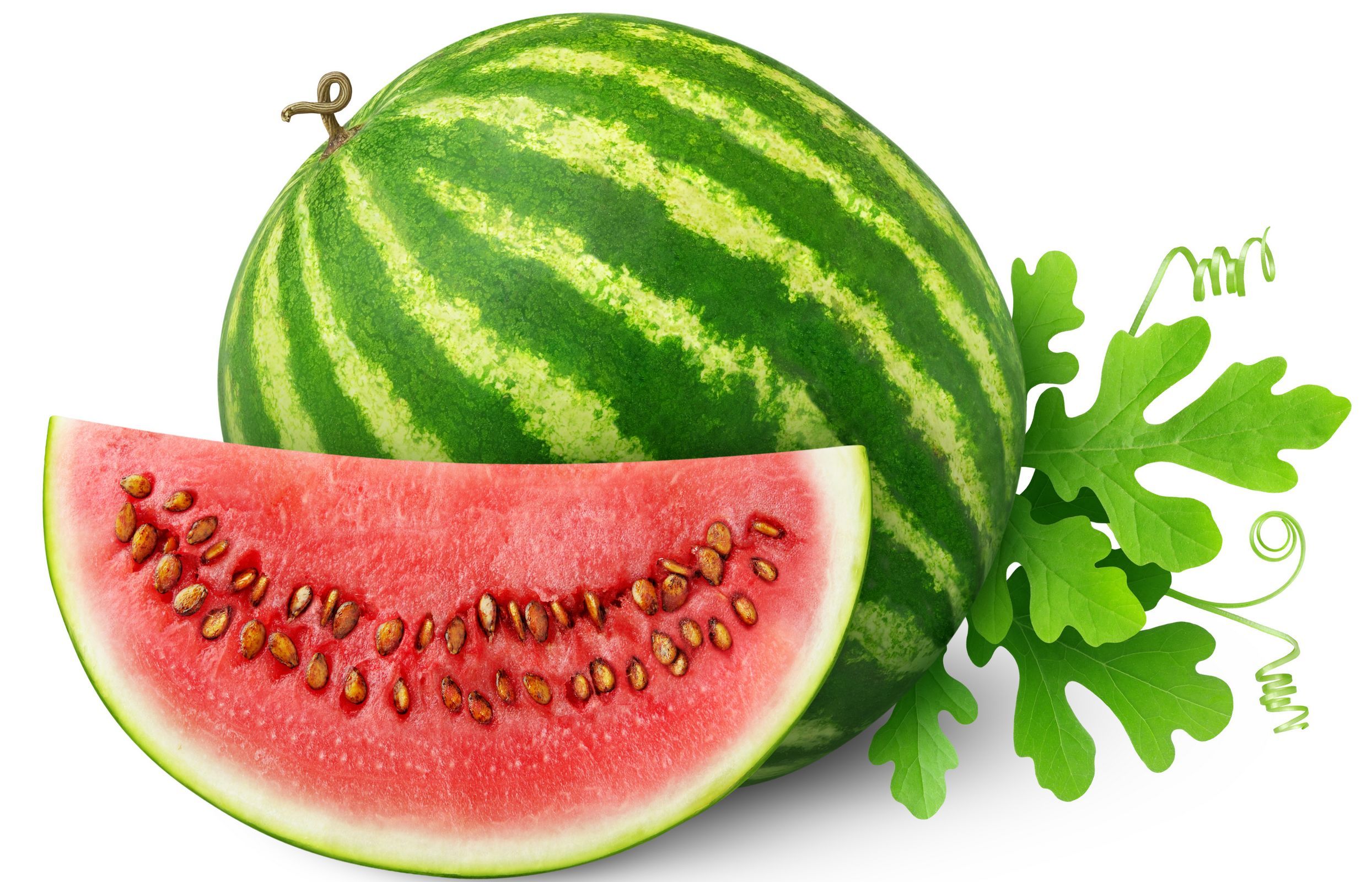 动感水果 西瓜