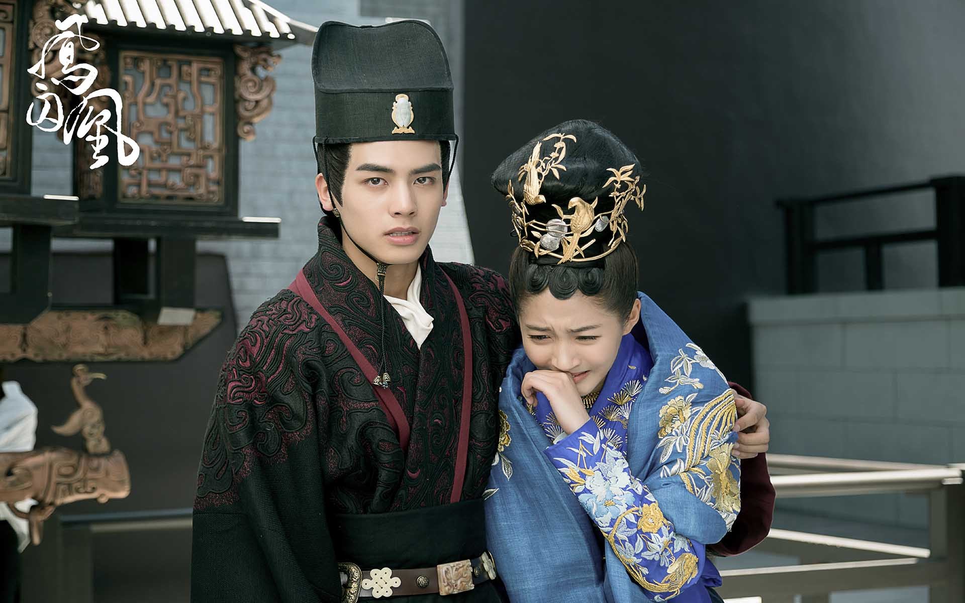 影视 电视剧 凤囚凰