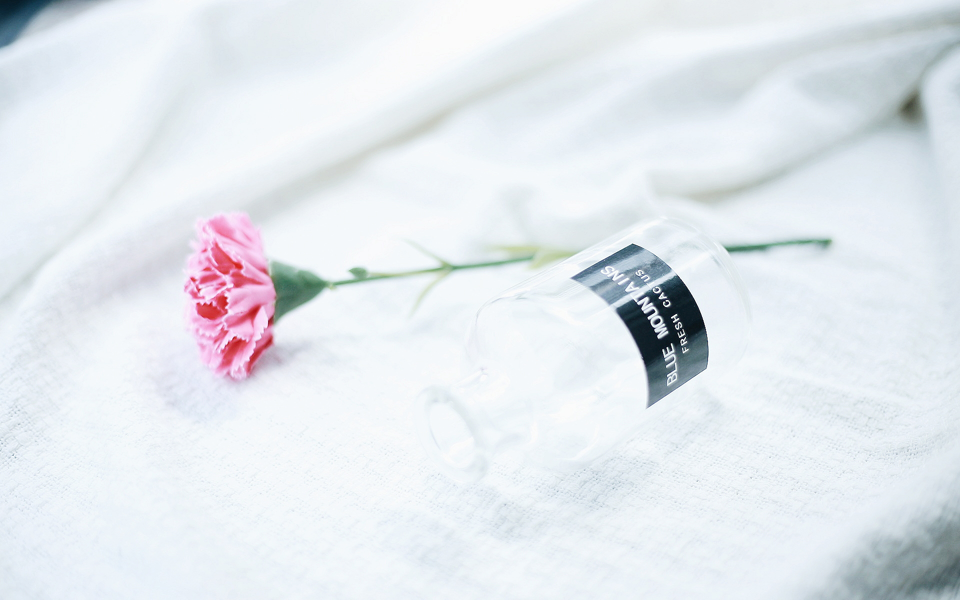 小清新 静物 家居 插花 花卉