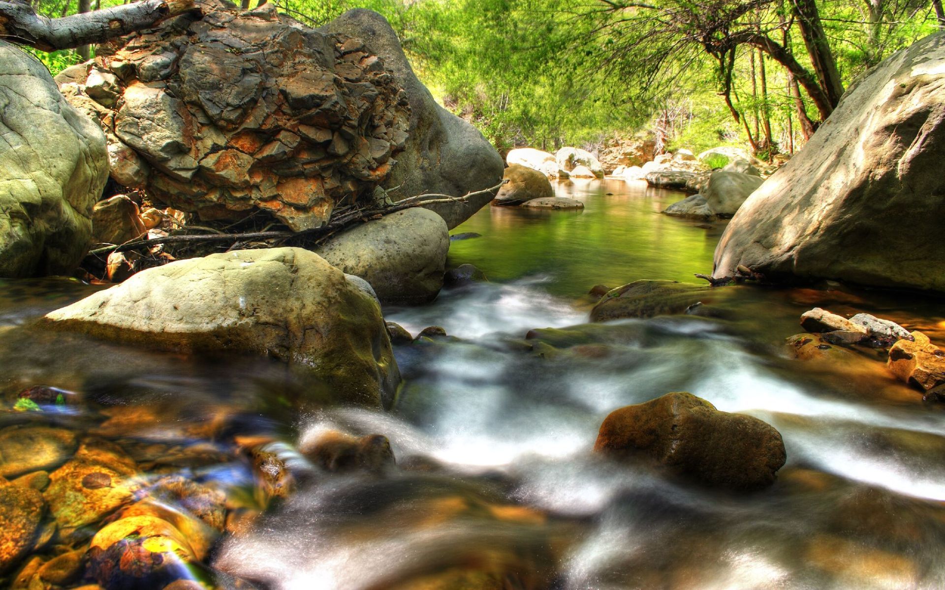 炎炎夏日  森林  溪流  自然风景 山水