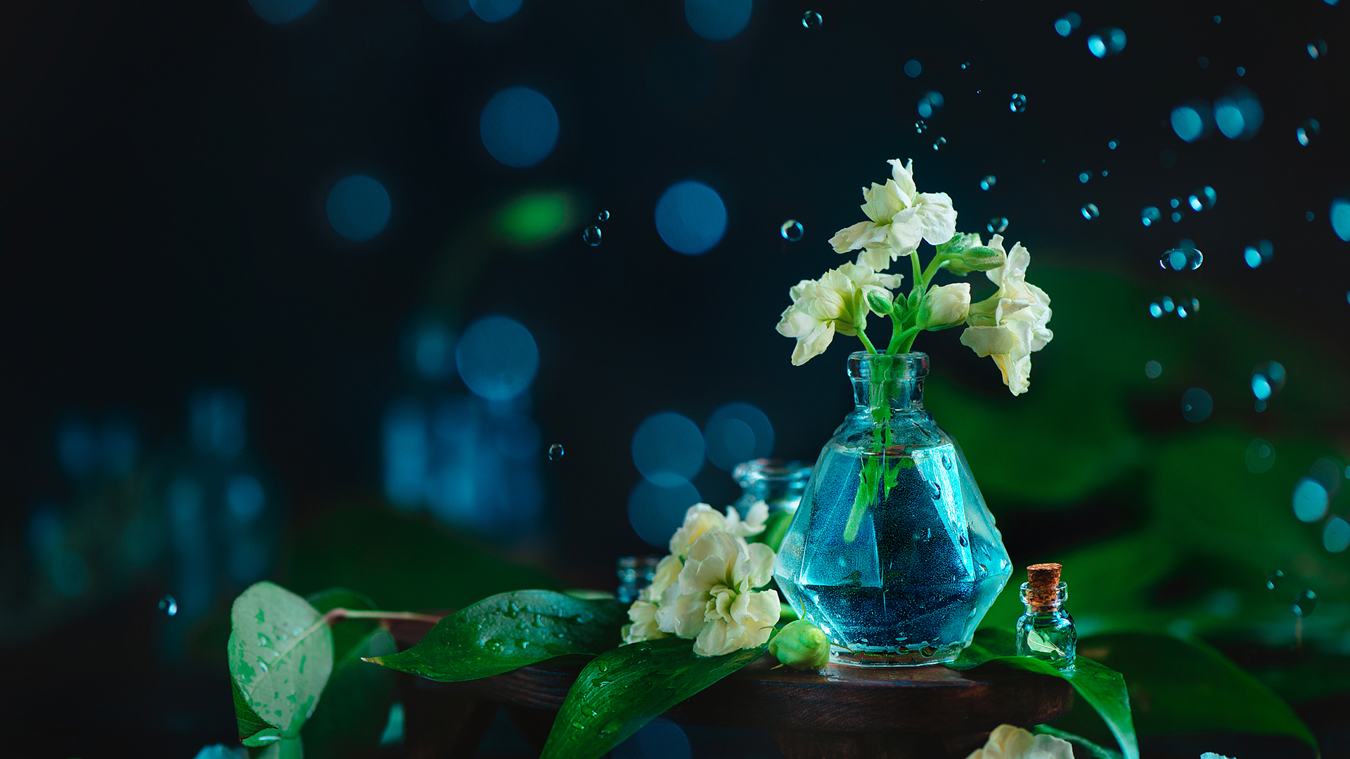 小清新 护眼壁纸 绿叶