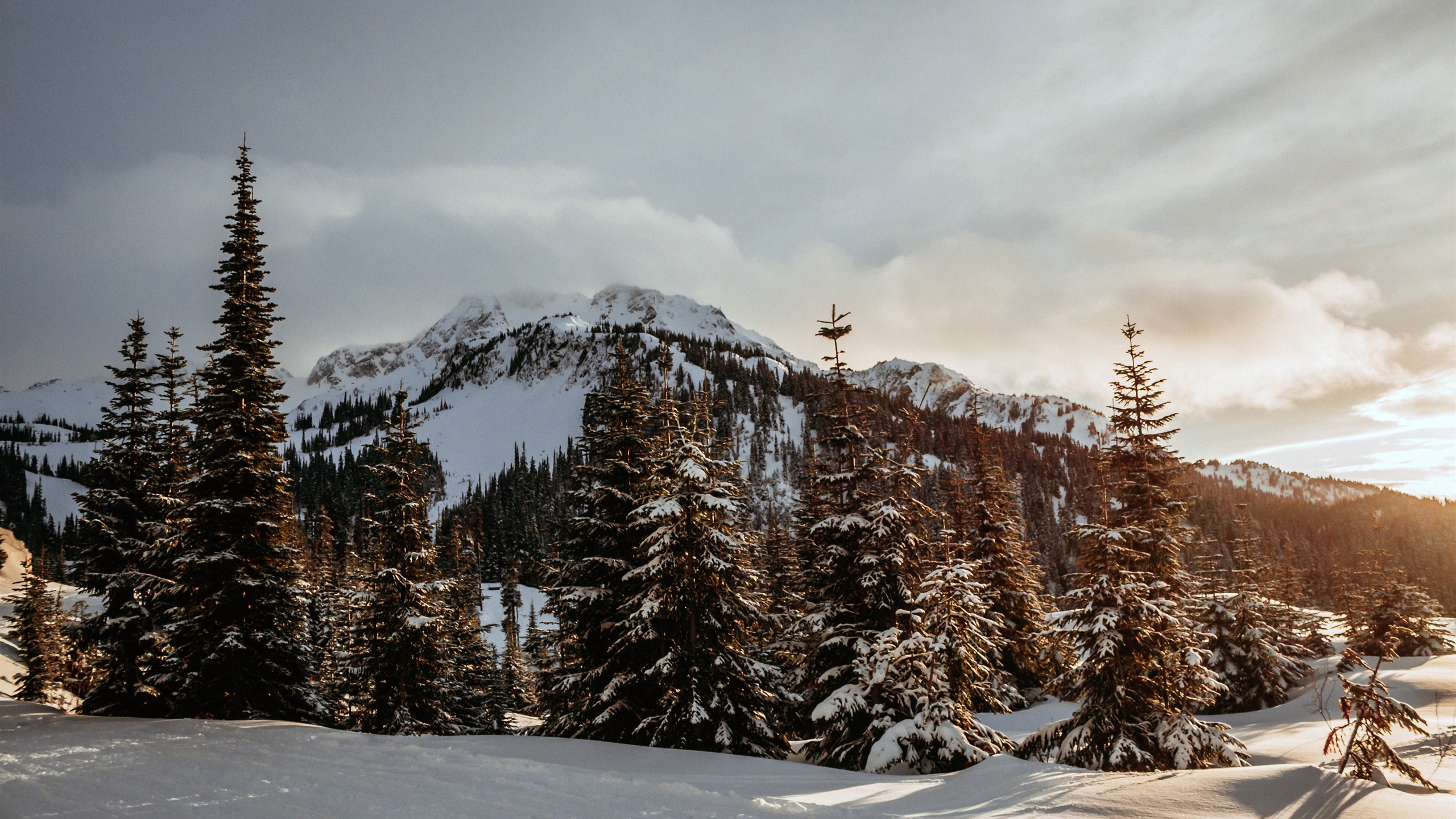 风景 冰天雪地 雪景