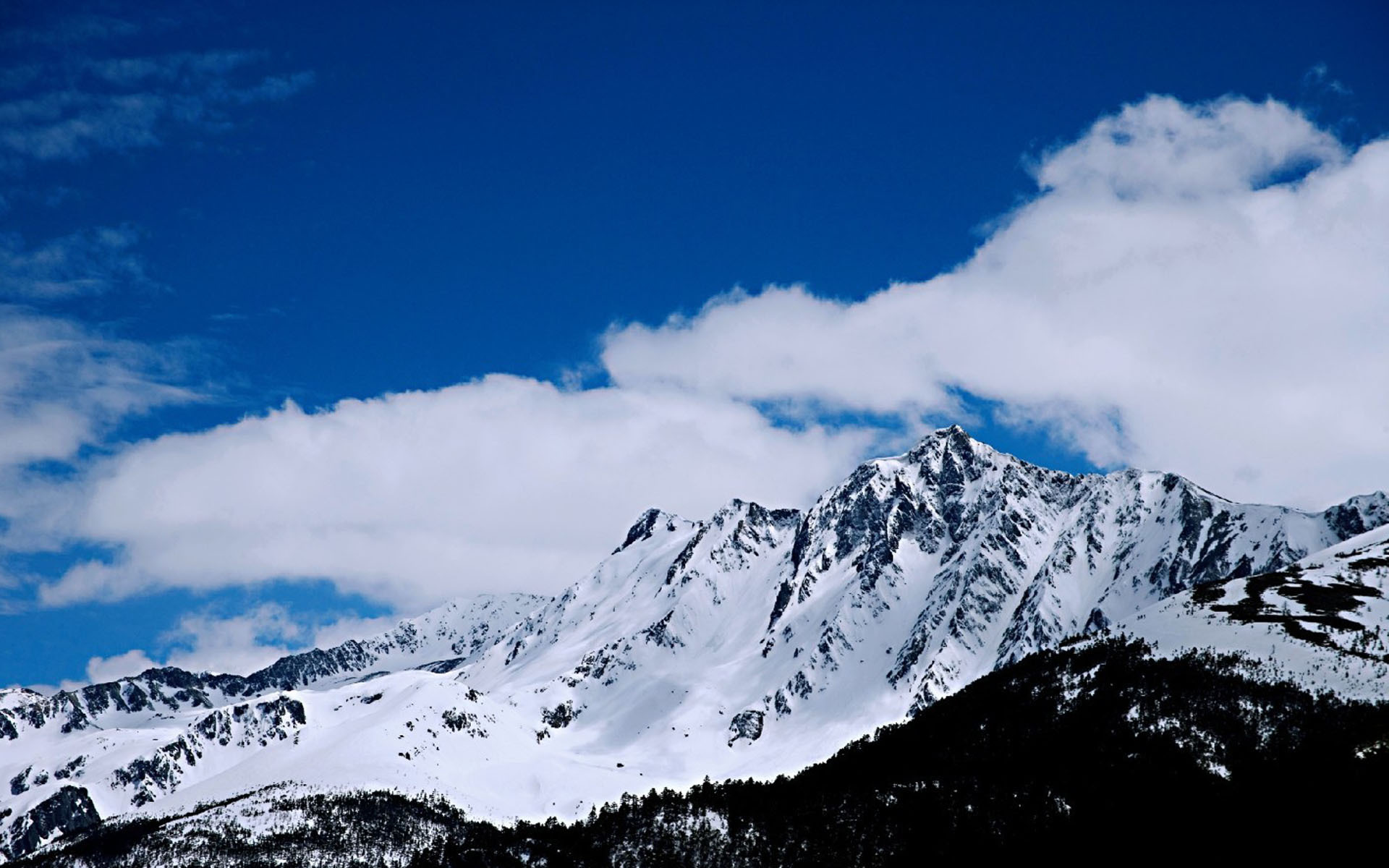 冰天雪地  云南白马雪山风景