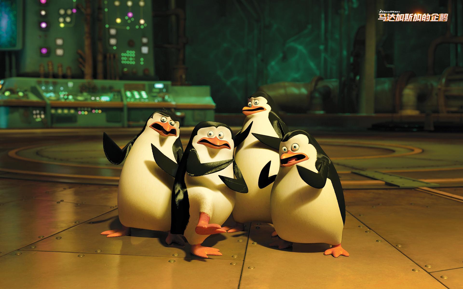 马达加斯加的企鹅 冒险 搞笑 企鹅 动漫