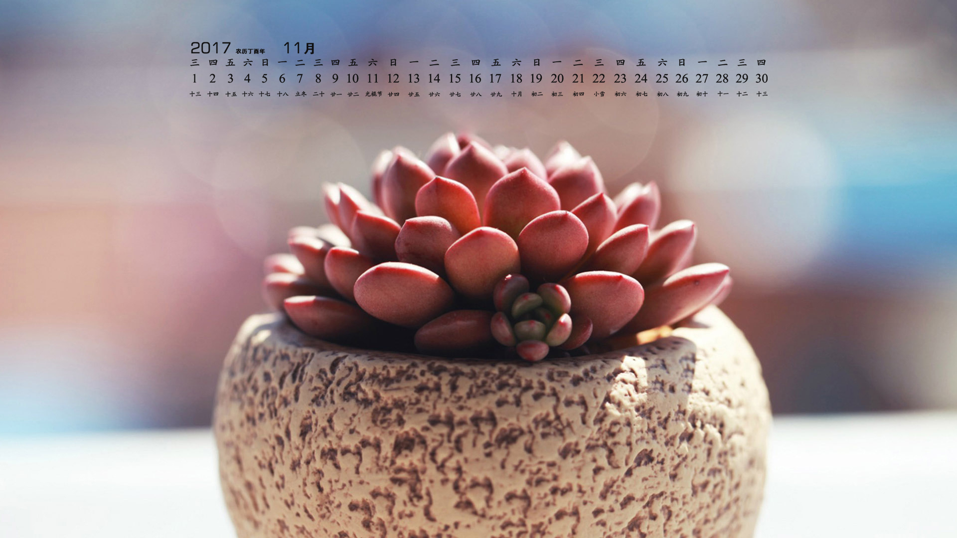 月历 2017年11月