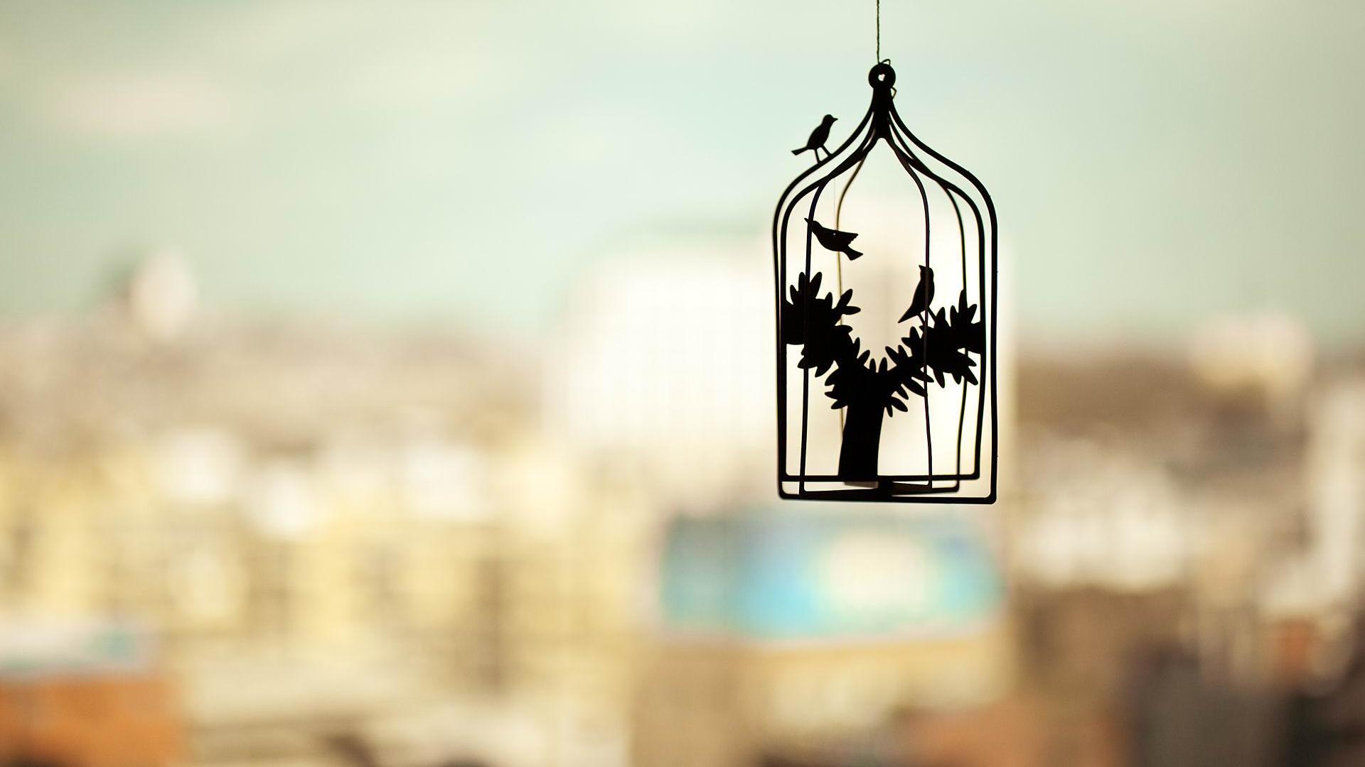 小清新 简洁 宽屏