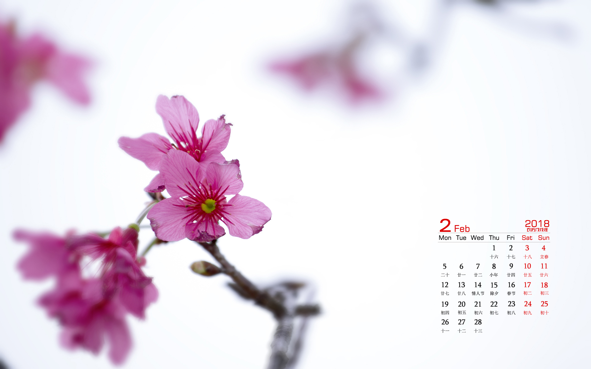 月历 2018年2月