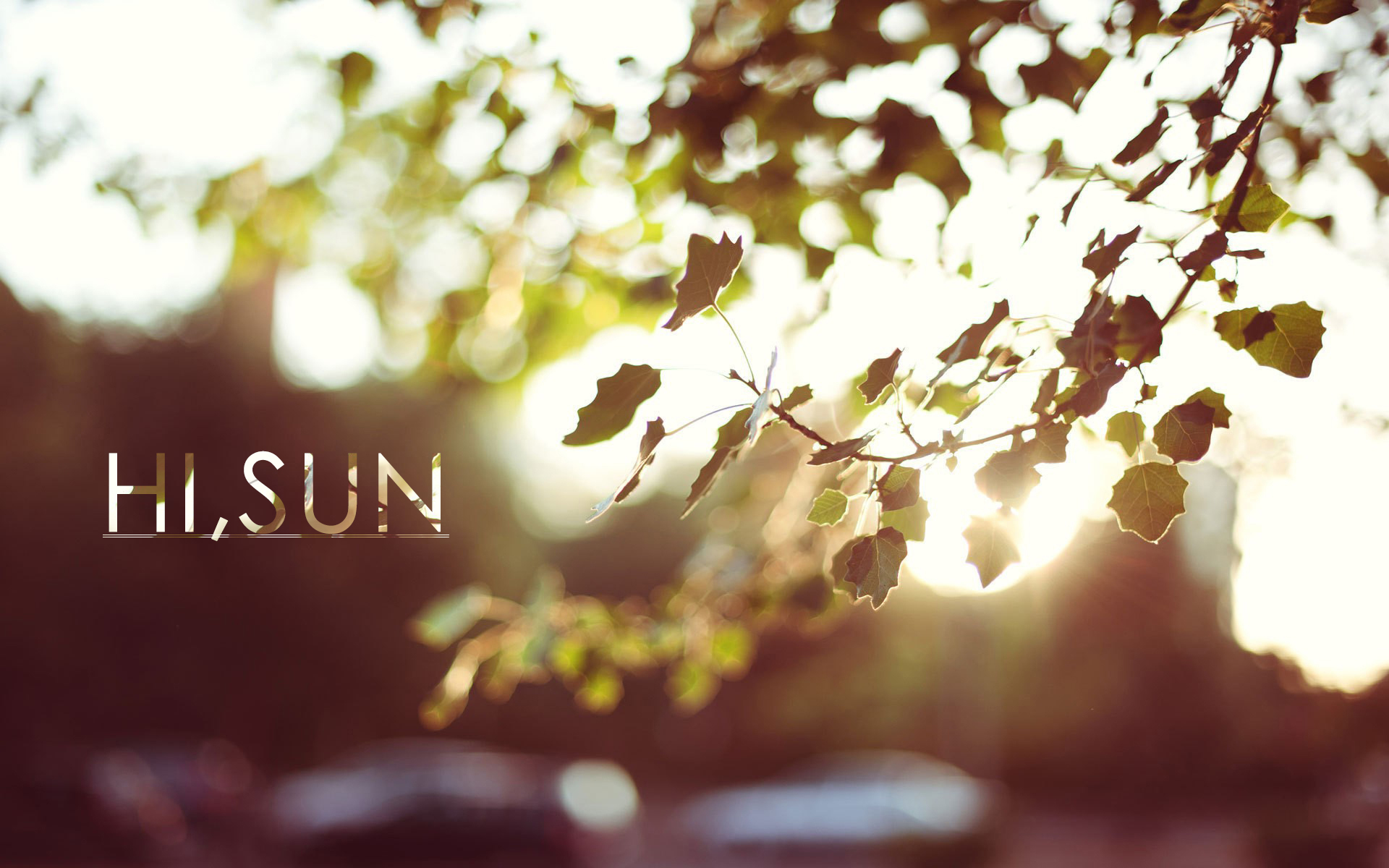 文字控 风景 炎炎夏日 你好 唯美 意境