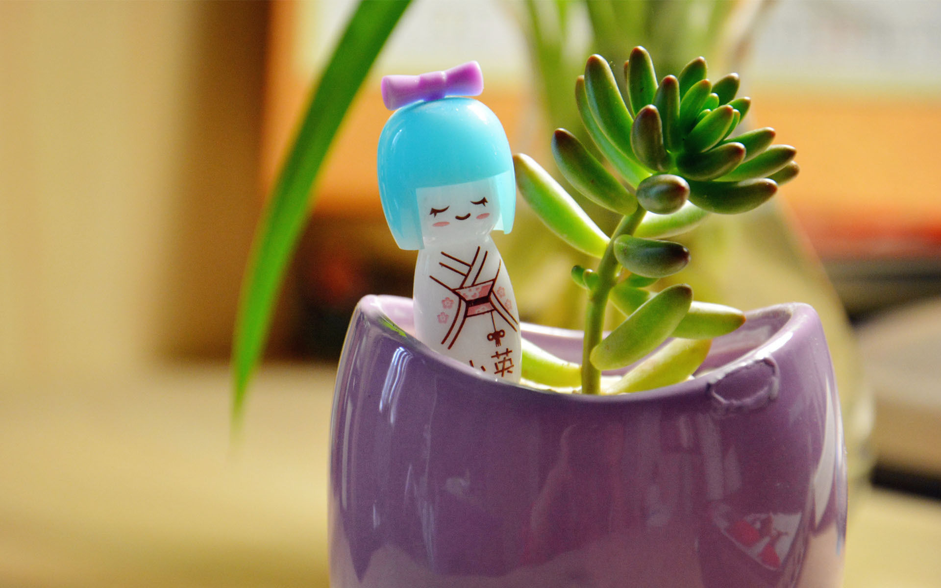 静物写真  简洁  绿色  植物   养眼  阳光