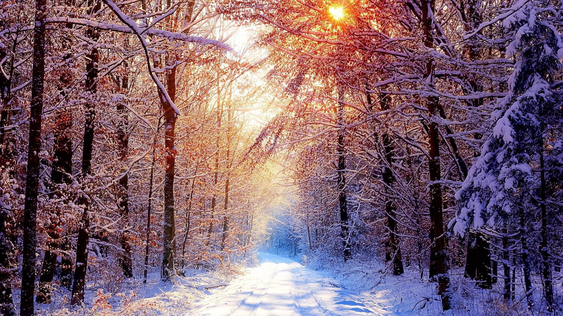 冰天雪地