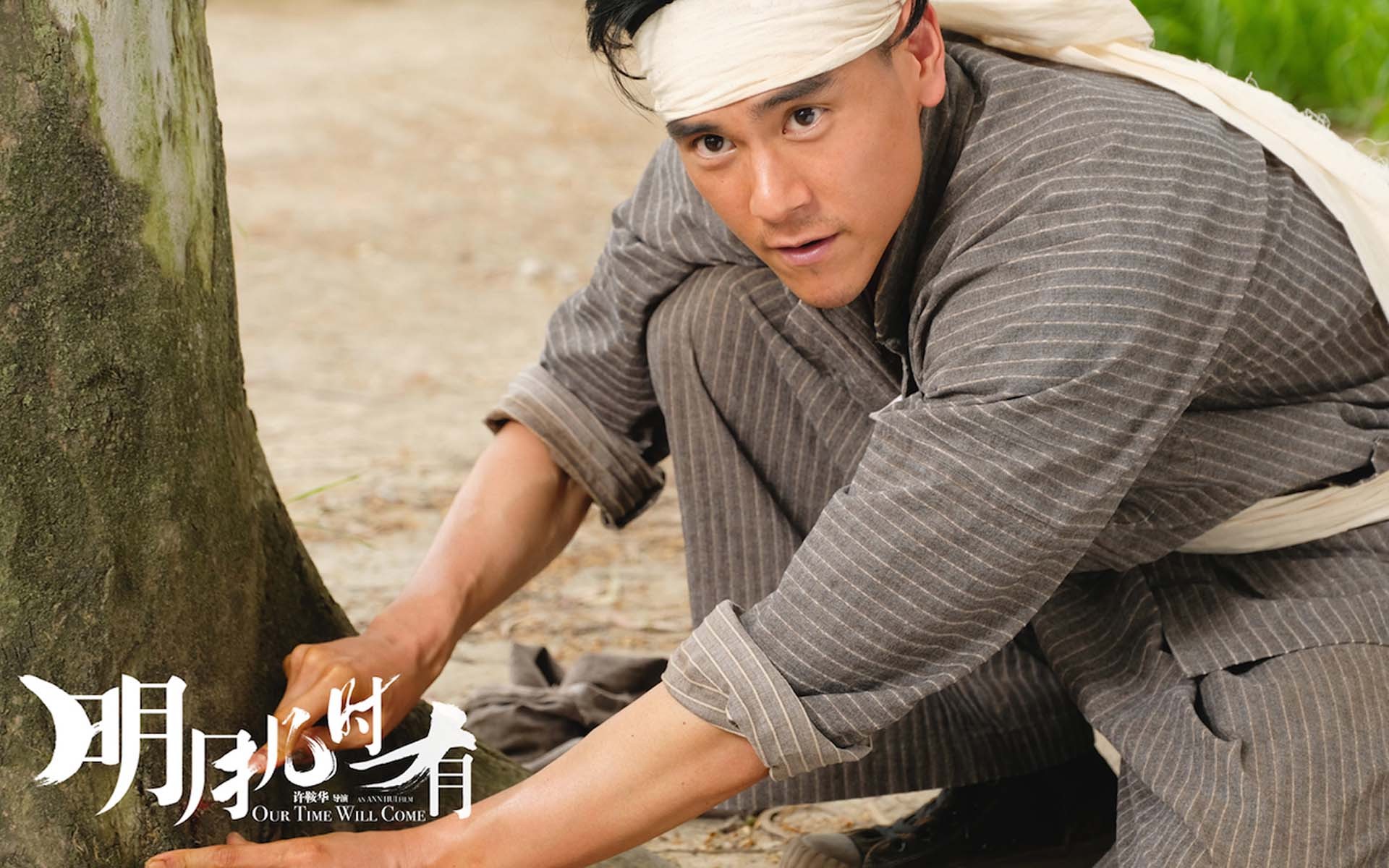 影视 电影 明月几时有 彭于晏