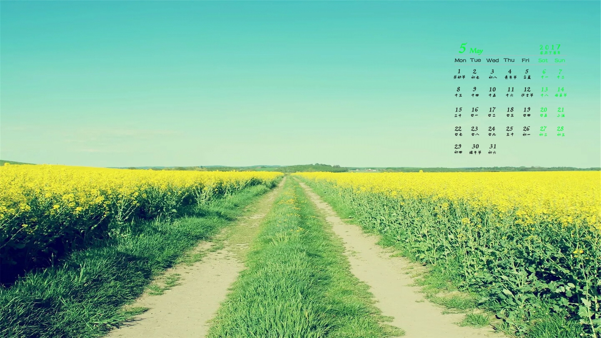 2017年5月 道路 花海