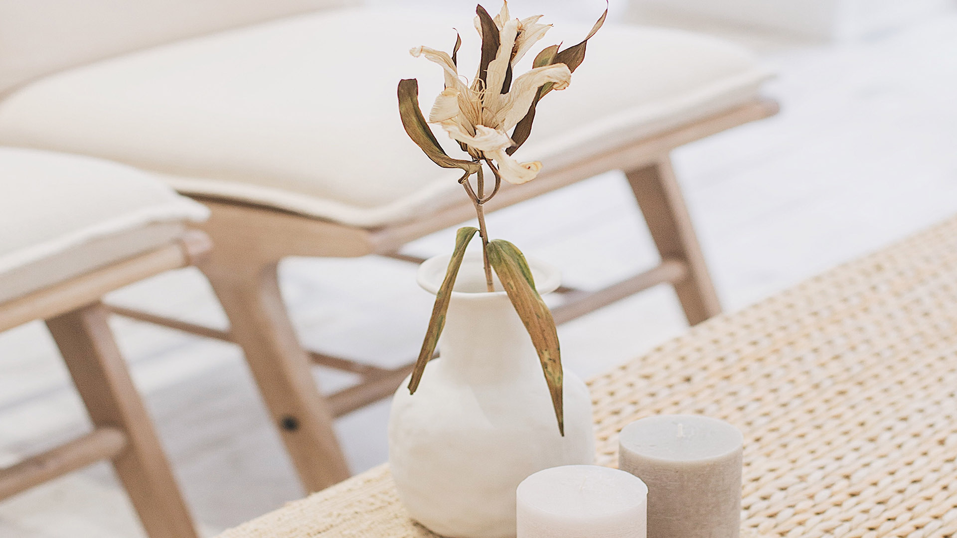 静物写真  简单小清新 简约