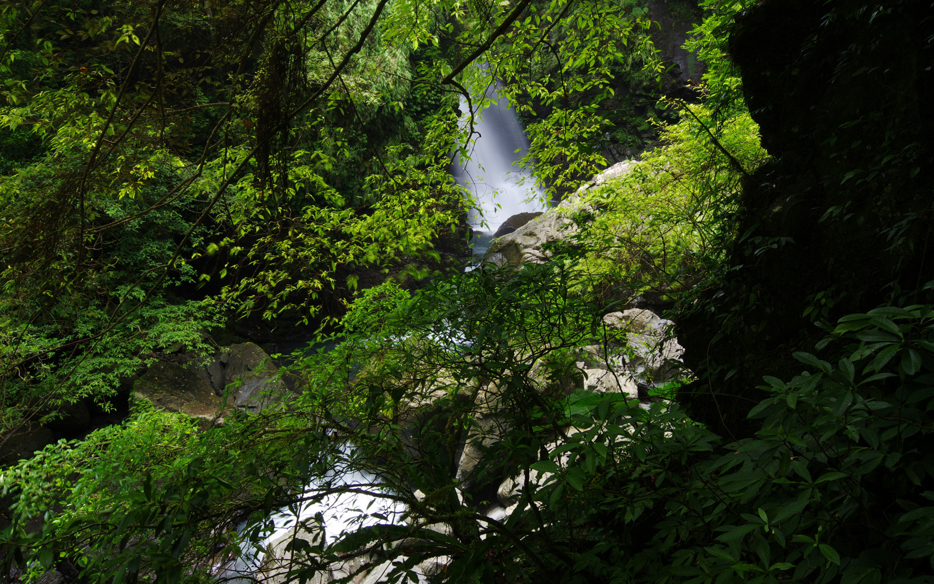 绿色 护眼 小清新 风景