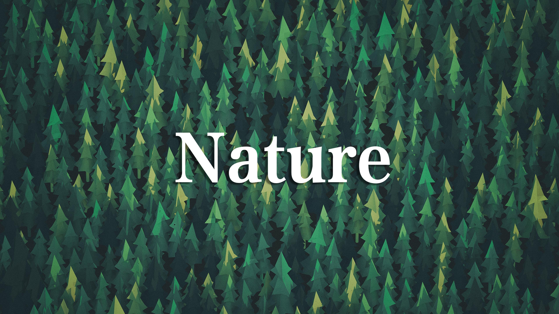 文字 创意 简约 nature 大自然