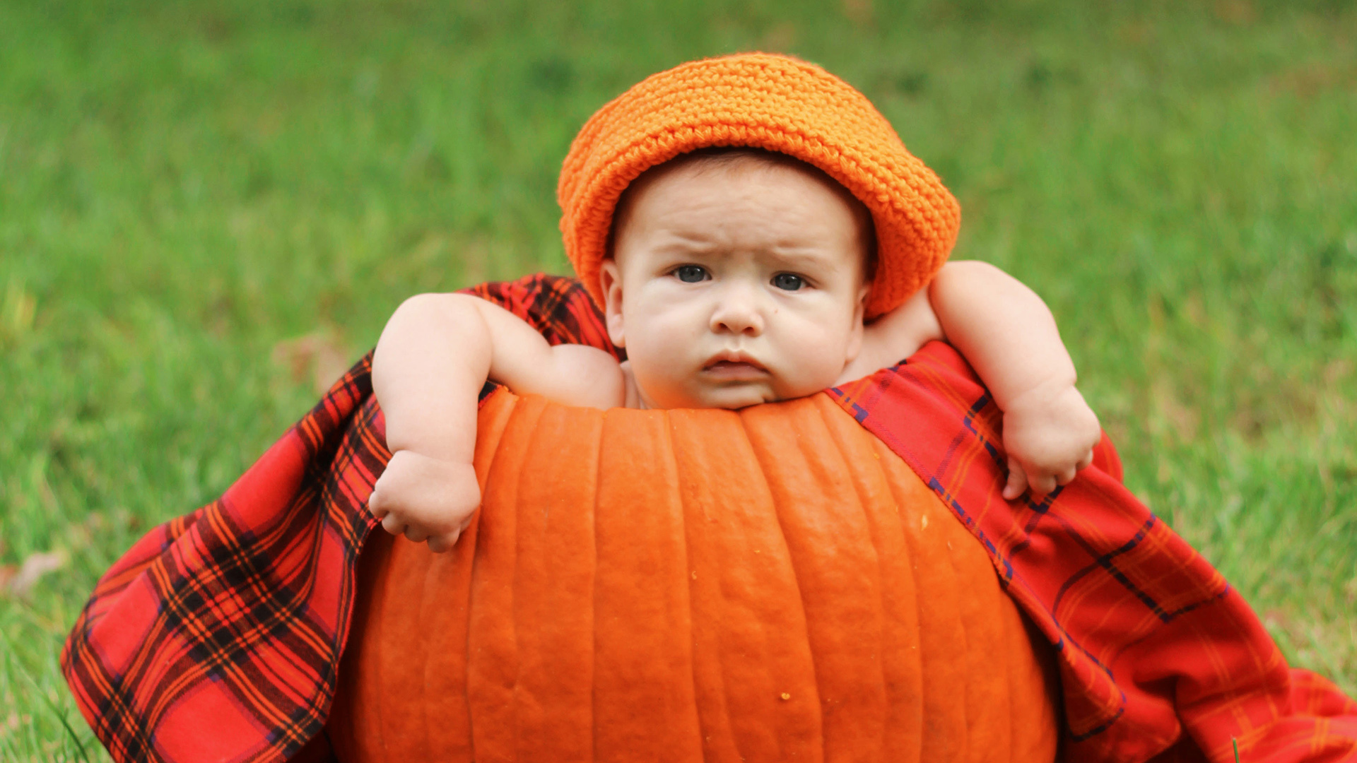 baby 可爱 宝宝 南瓜