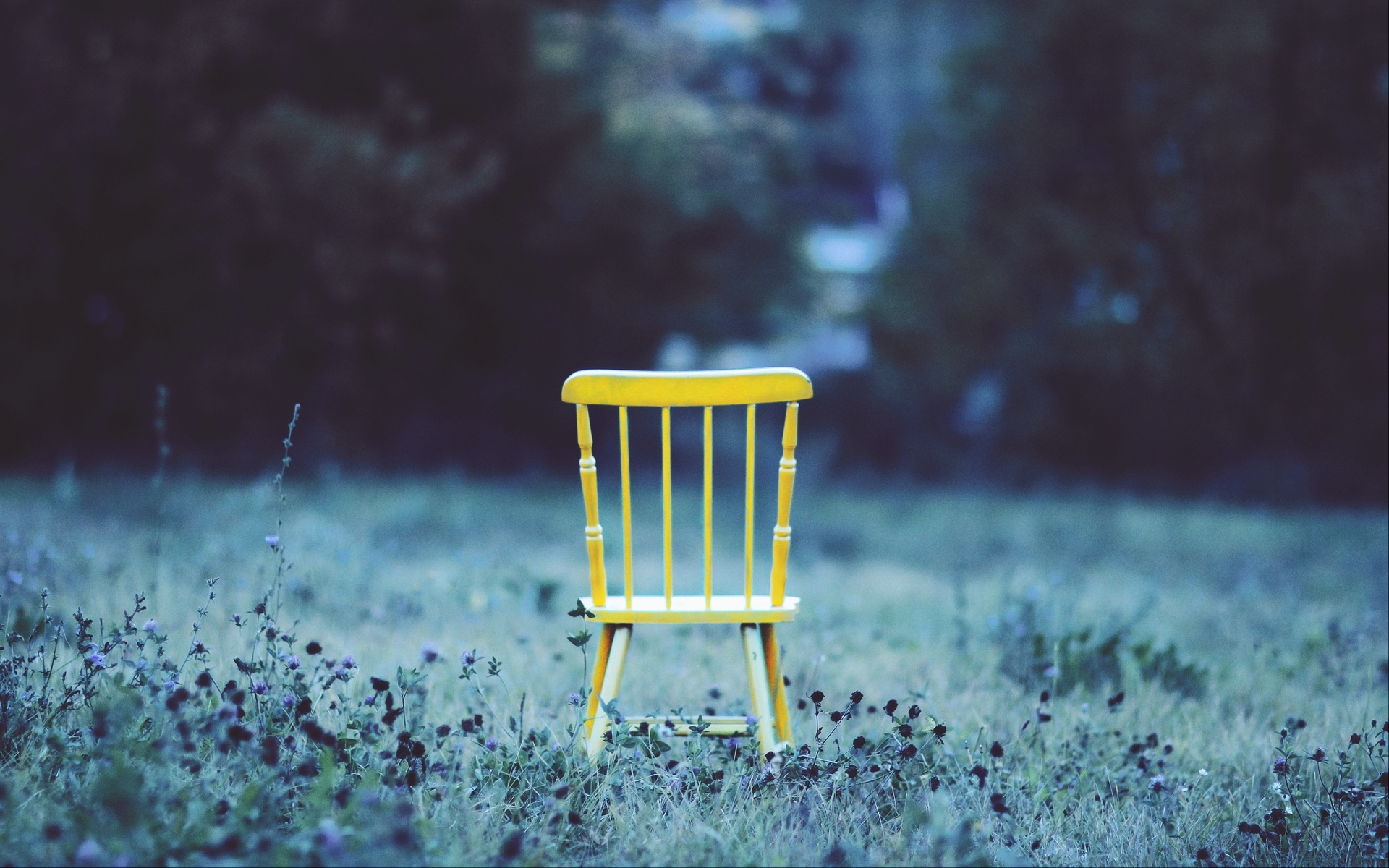 舒缓压力  花丛中的小板凳