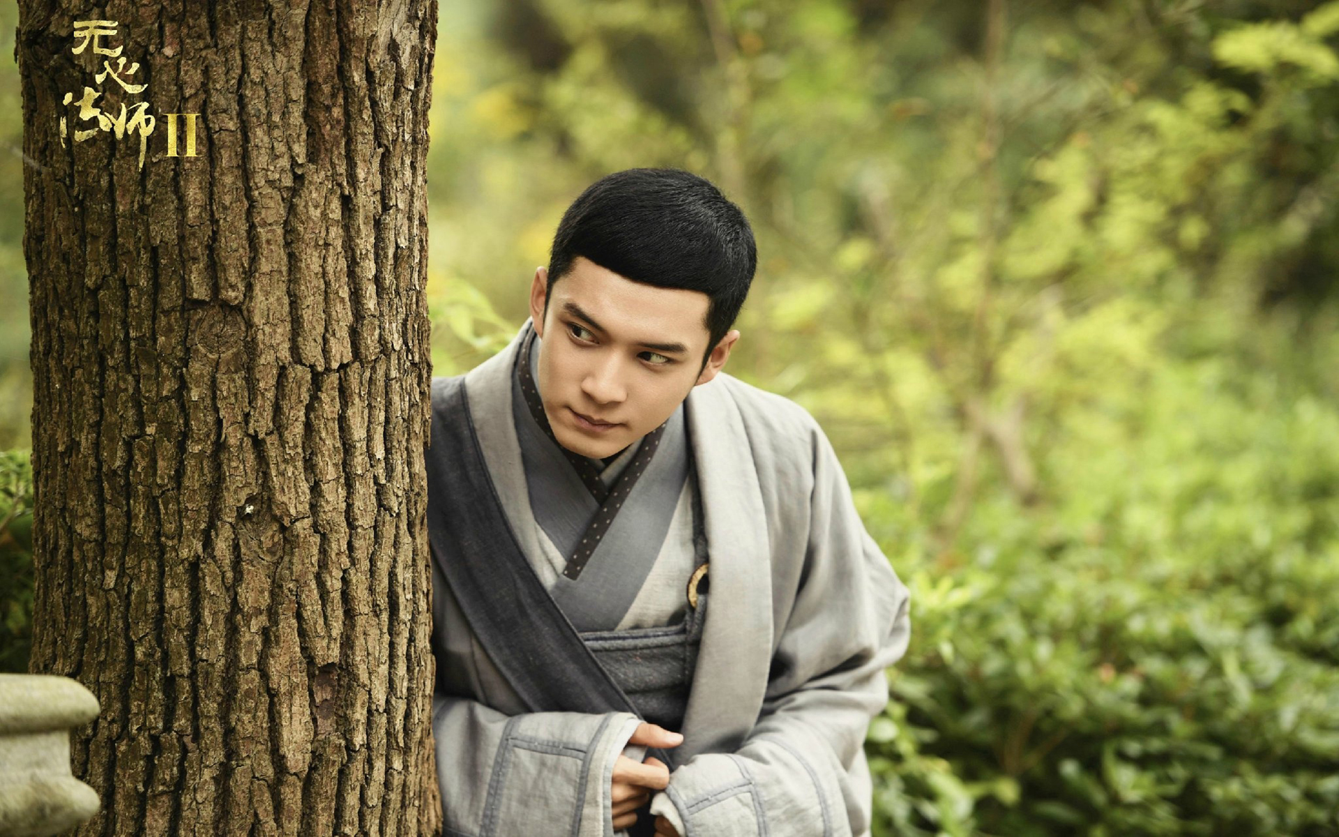 影视 电视剧 无心法师2