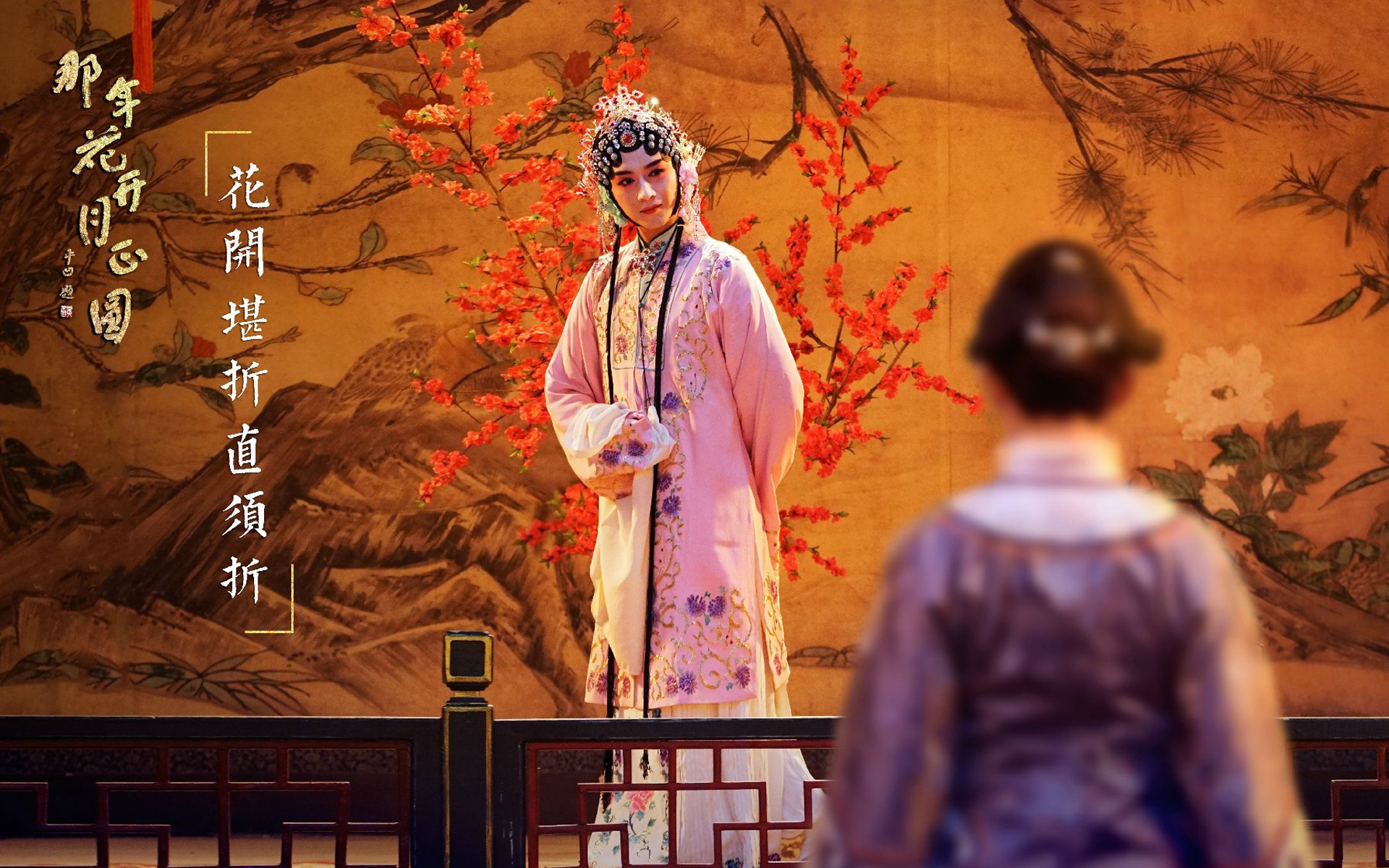 影视 电视剧 那年花开月正圆