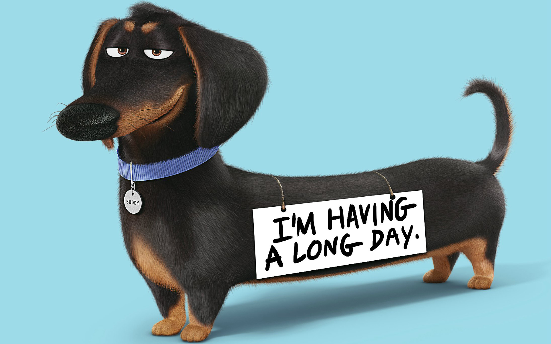 动漫 卡通 爱宠大机密