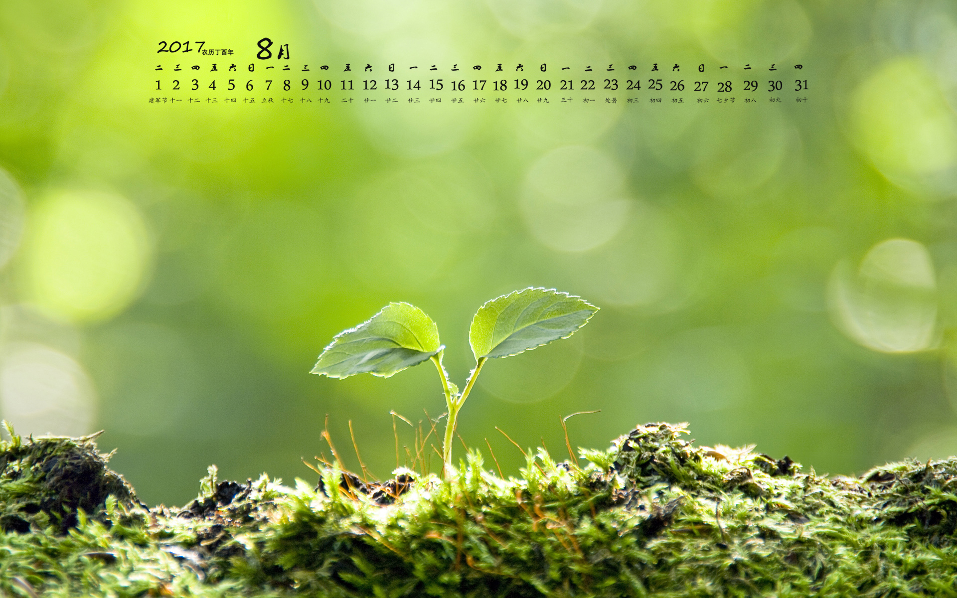 月历 2017年8月