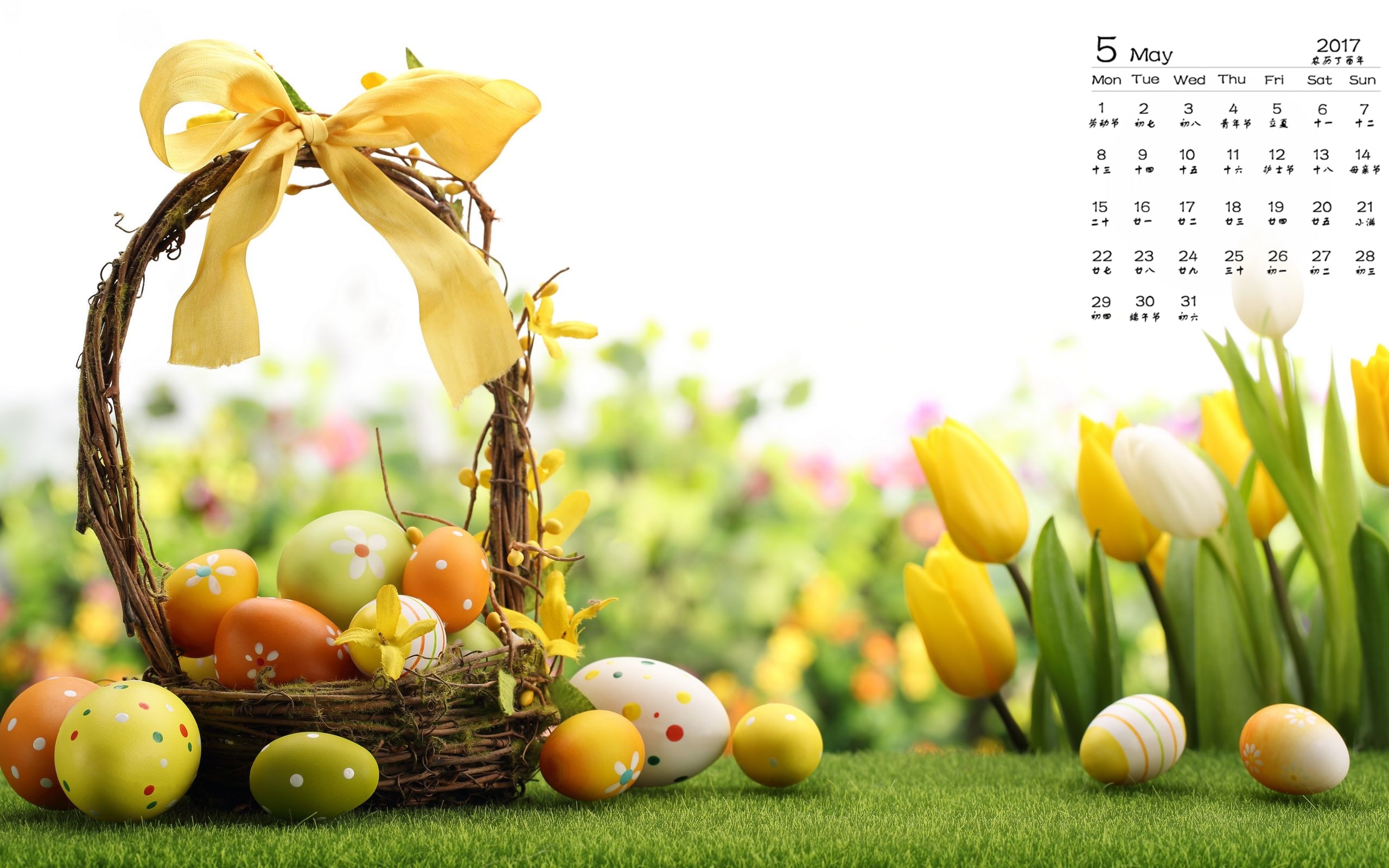2017年5月 彩蛋 草地
