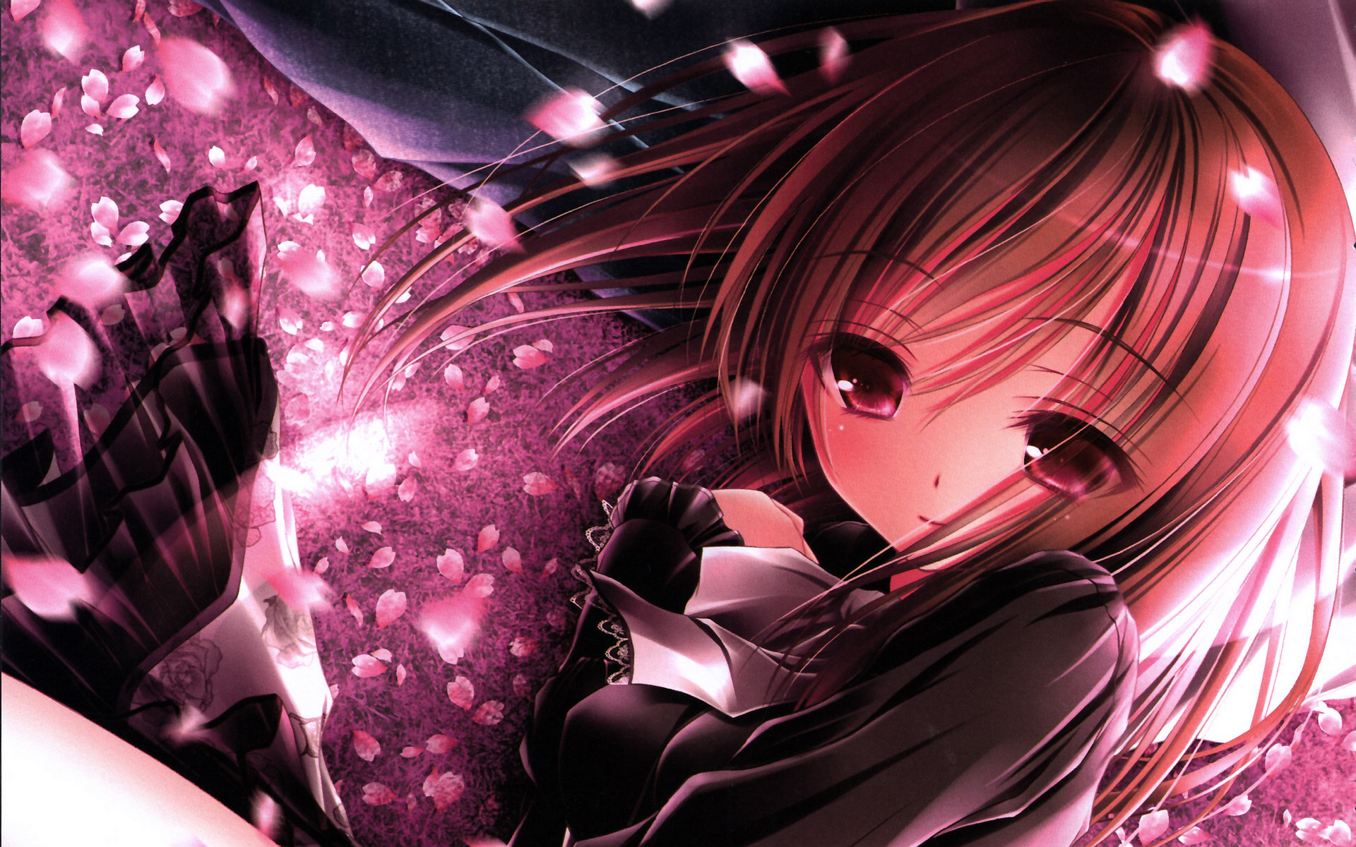 动漫  萌妹子  小萝莉  呆萌可爱   宽屏