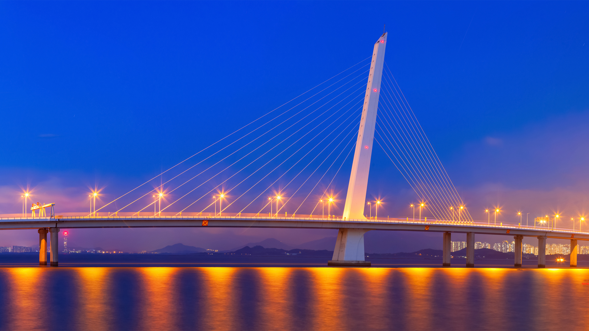 城市夜景  深圳湾跨海大桥  风景