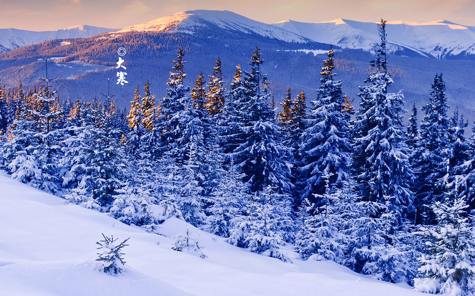 节日美图 大寒 寒冷 二十四节气 宽屏