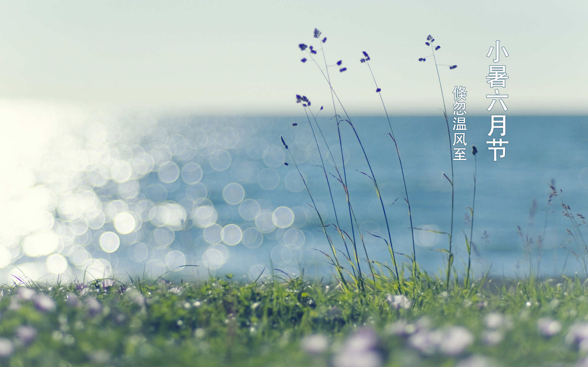 节气 二十四节气 小暑