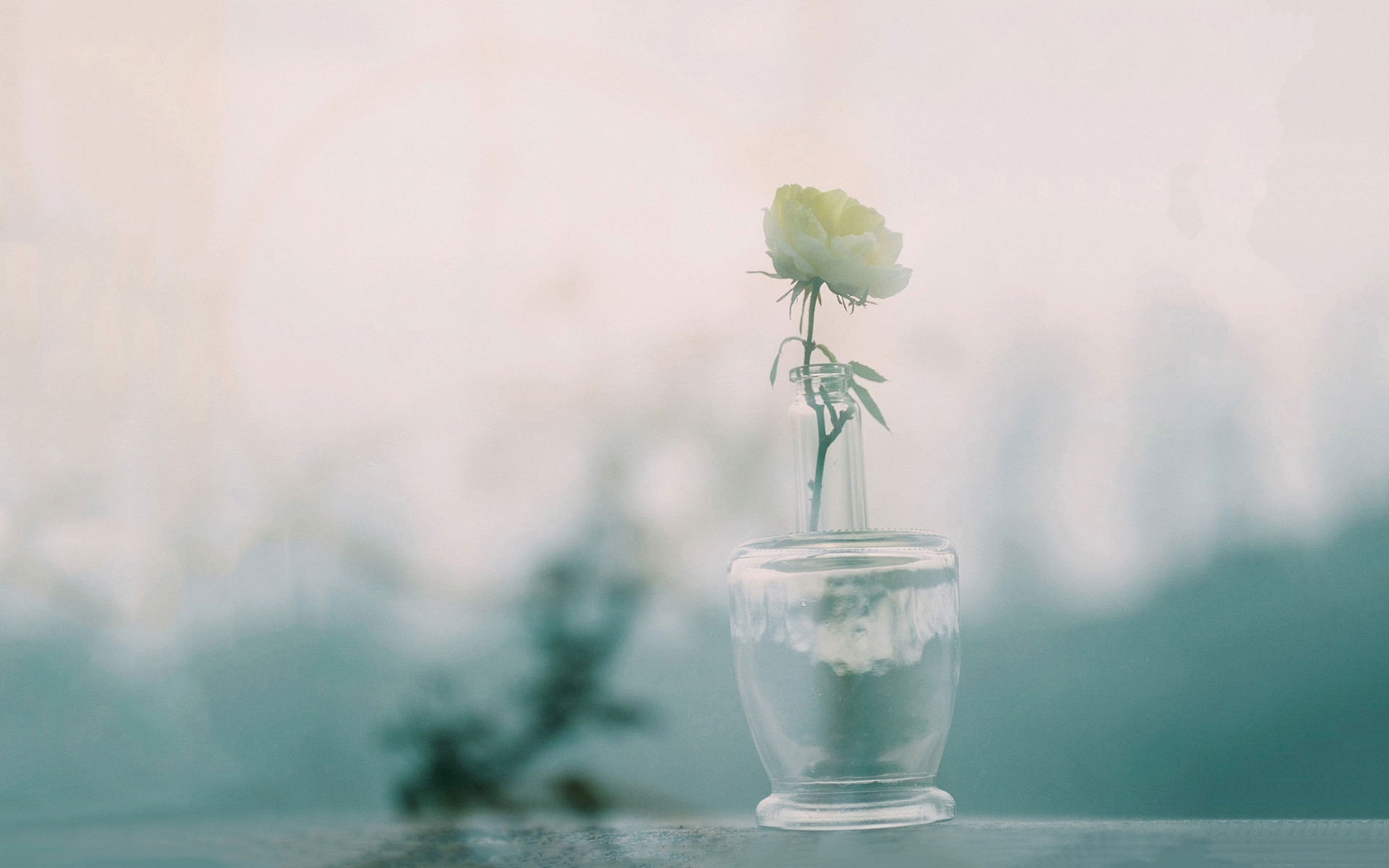 清新淡雅 小花 花瓶