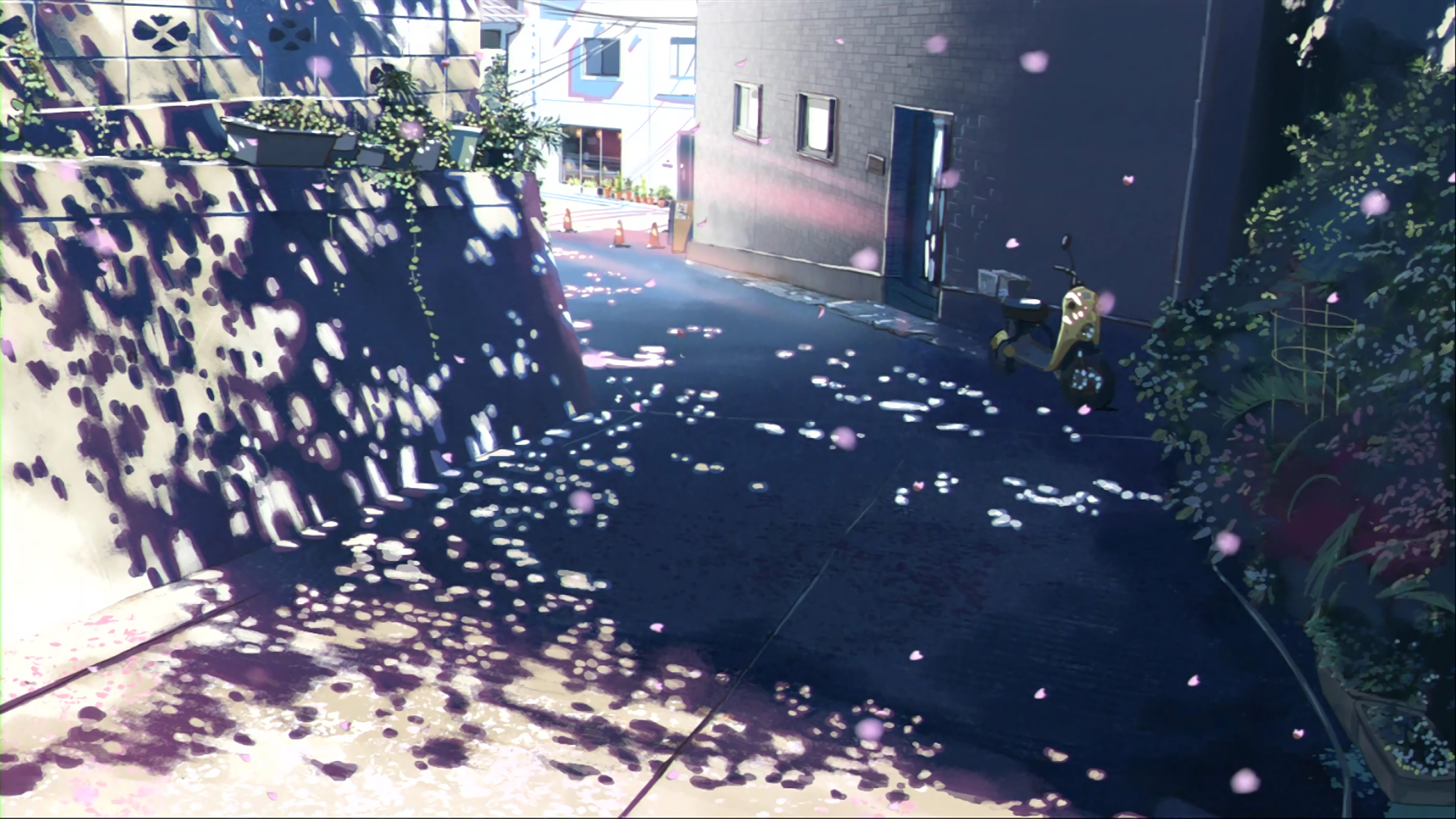 4K 动漫 风景 樱花 唯美