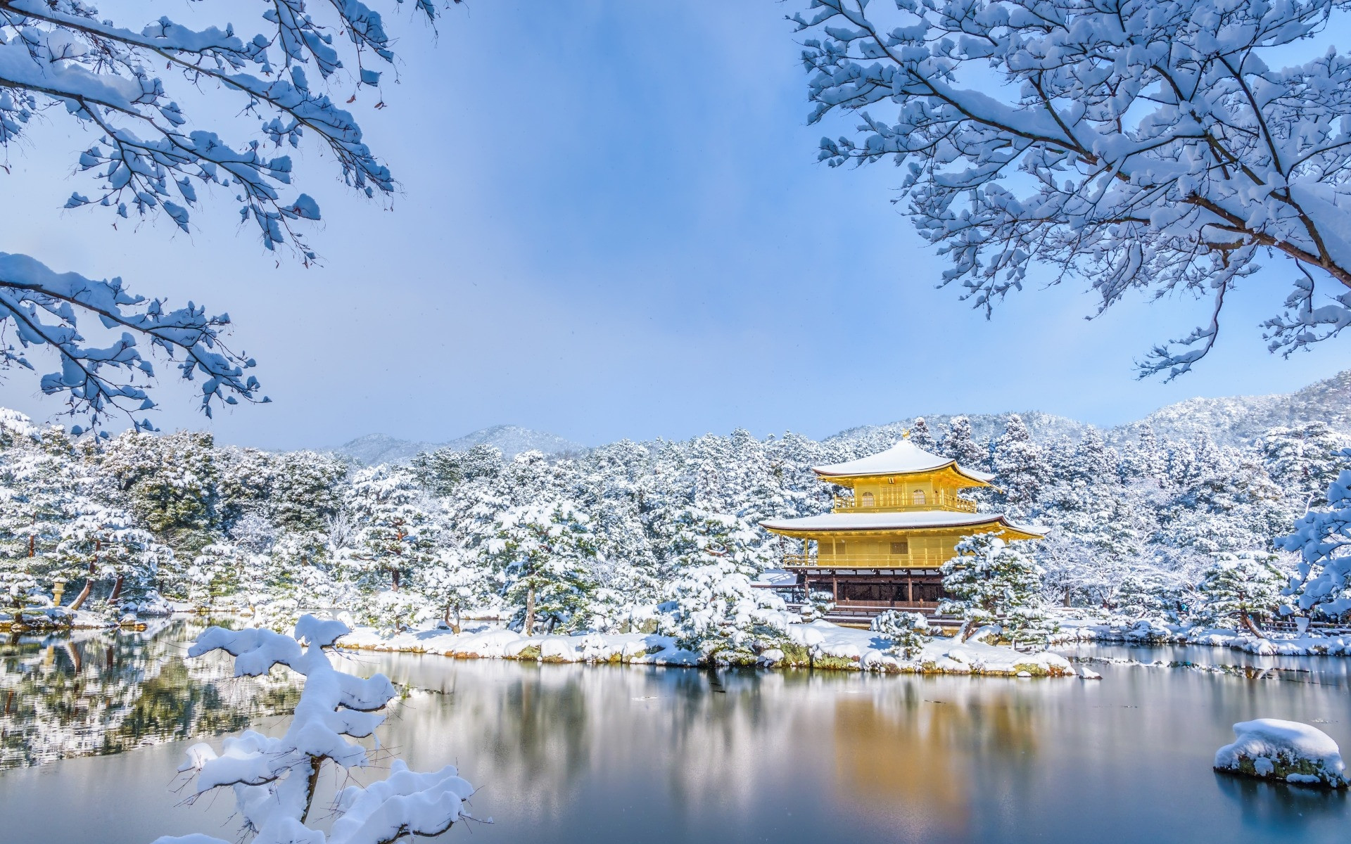 冰天雪地  冬季  唯美  雪景  日本雪景