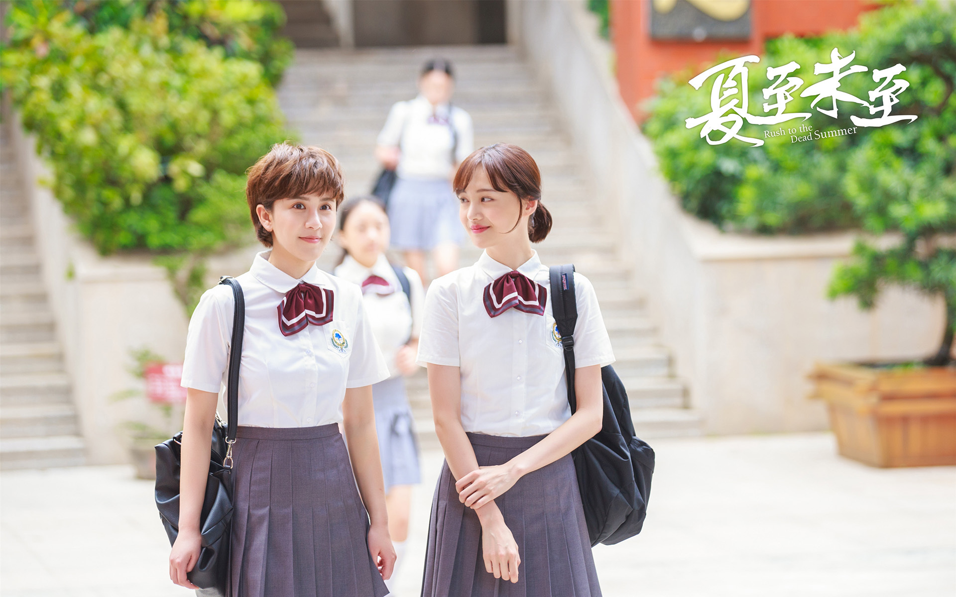 夏至未至 郑爽 夏梓桐