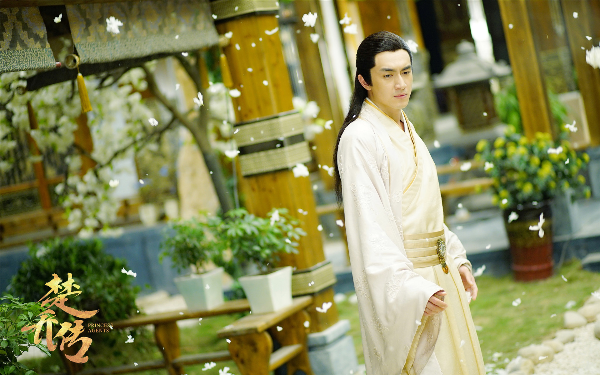 影视 电视剧 楚乔传 林更新