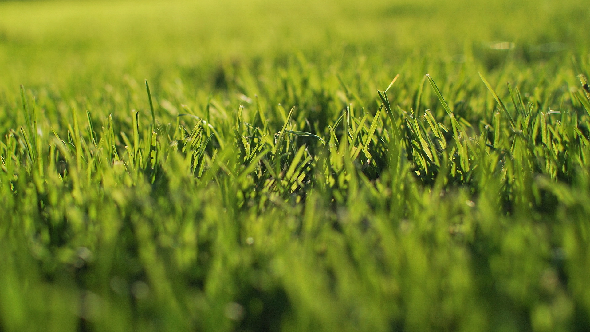 小清新 意境 摄影 儿童桌面专用