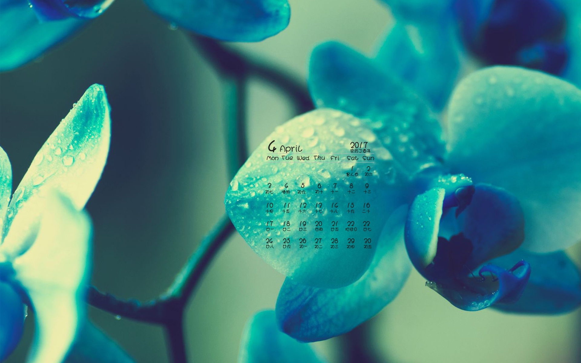 2017年4月 绿色植物