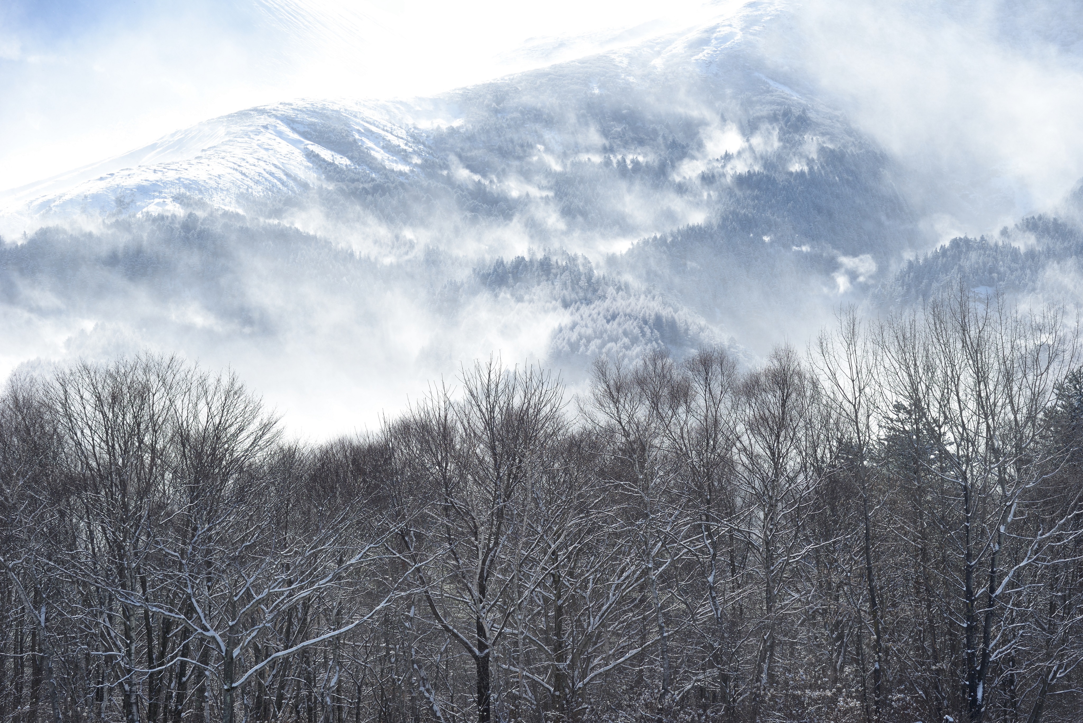 雪景 山脉 迷雾