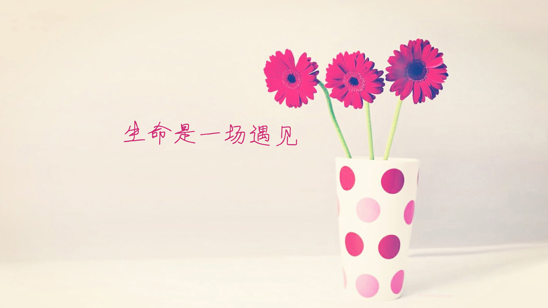 文字 花  生命是一场遇见