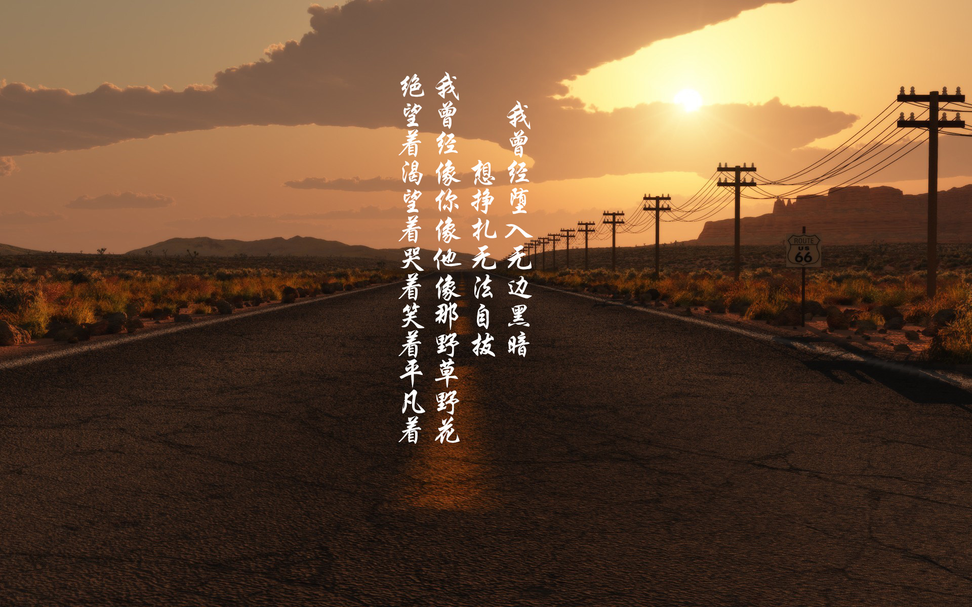 平凡的路上有你