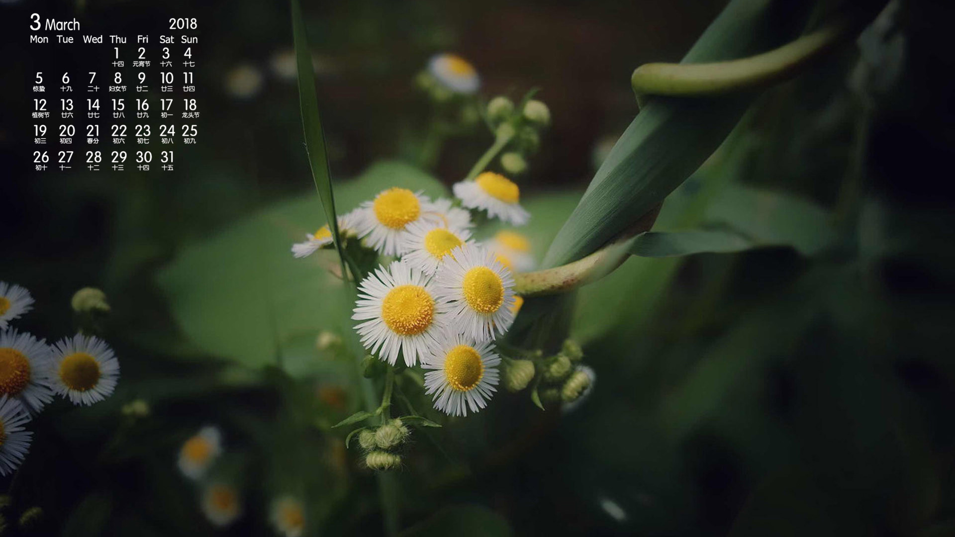 月历 2018年3月