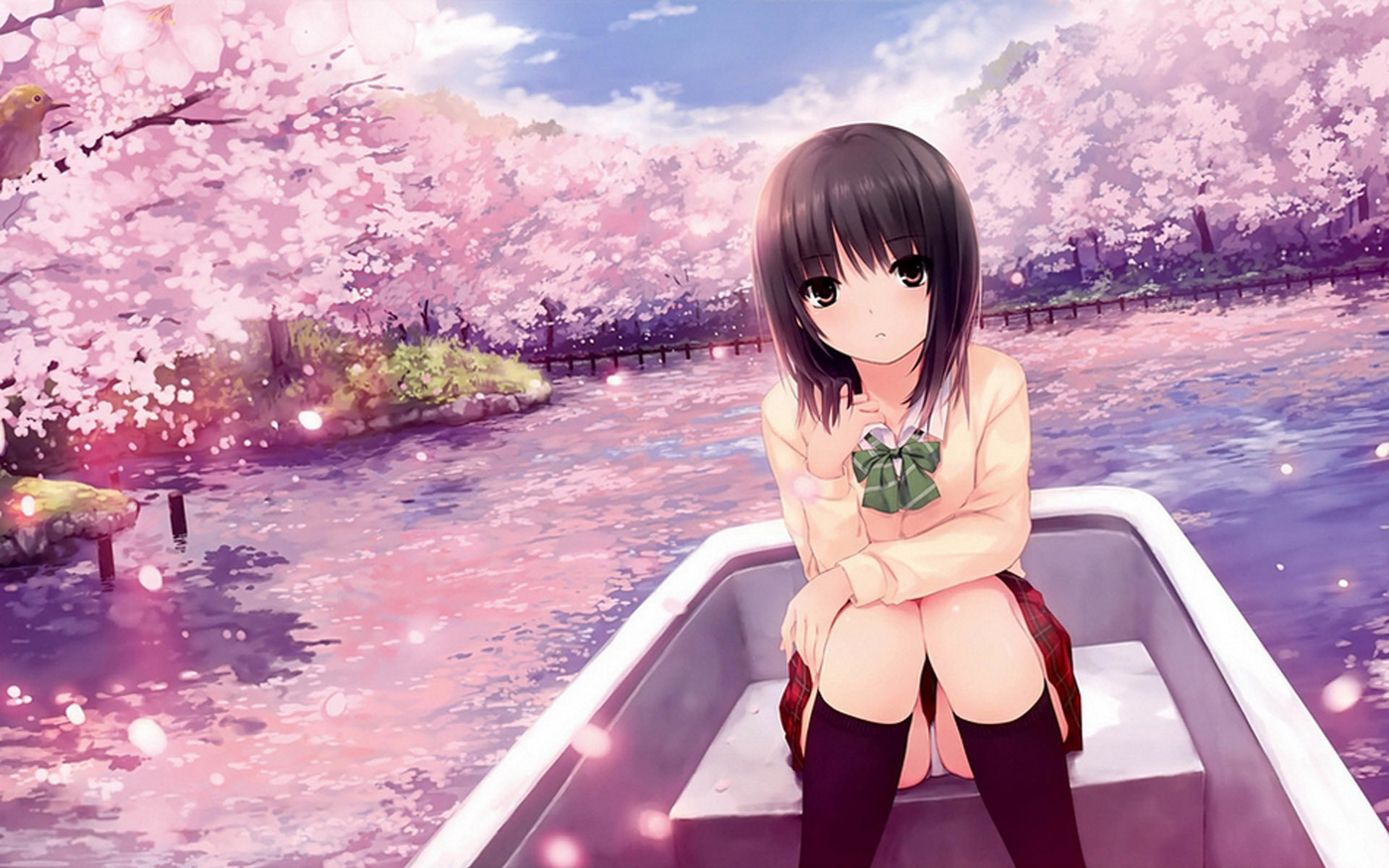 动漫 清纯 萝莉 美女 二次元