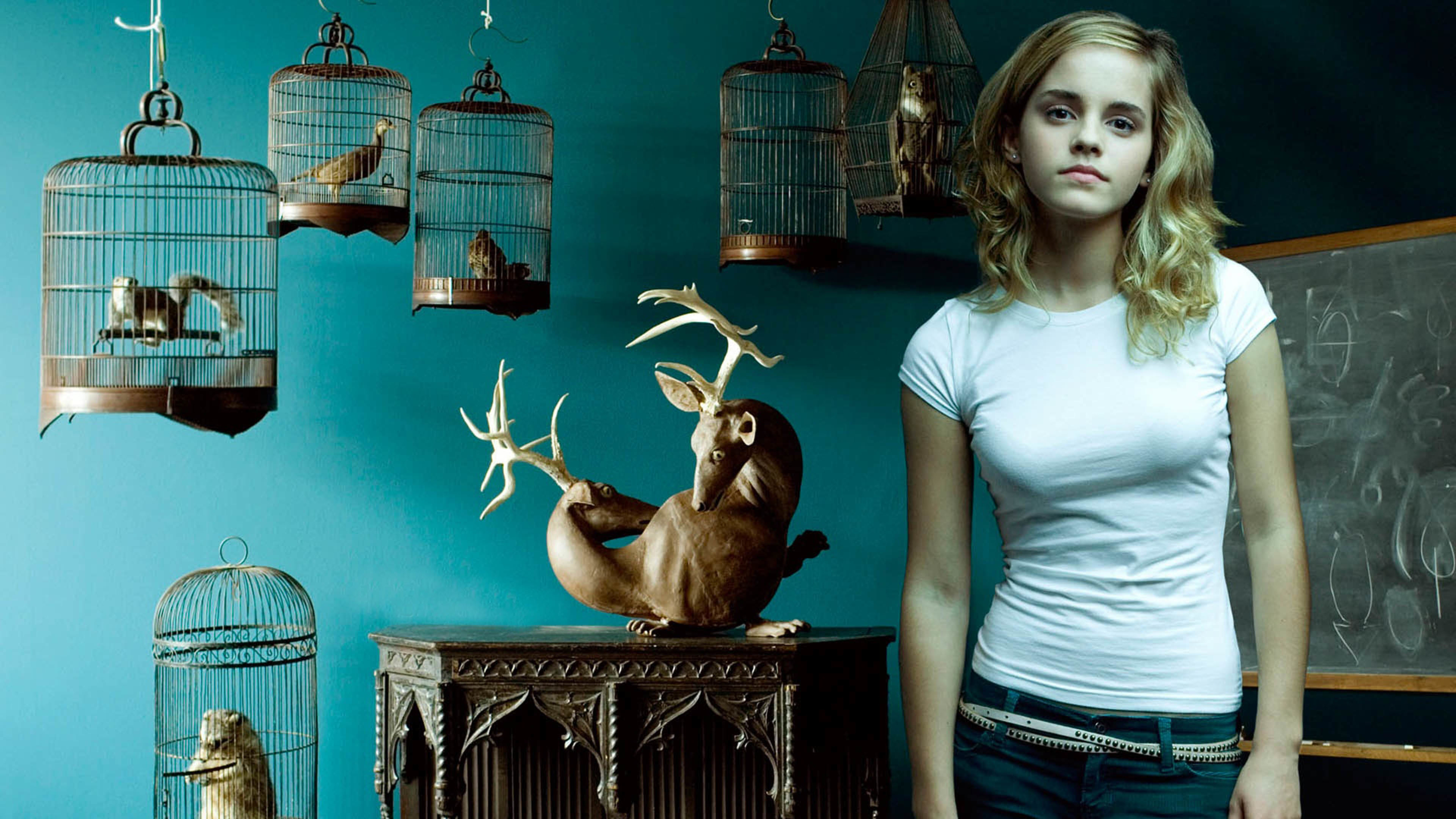 美女 欧美 动物 雕塑