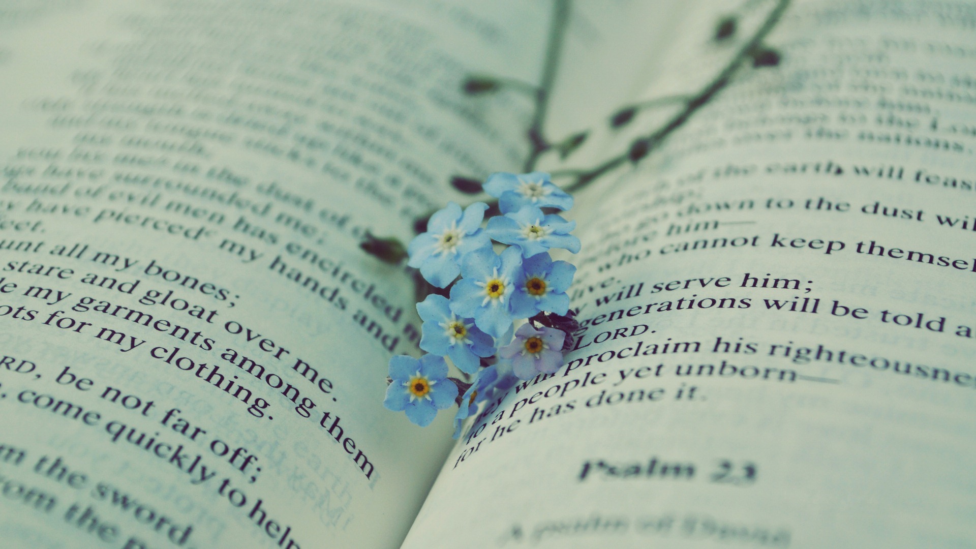 舒缓压力  书中的一抹颜色