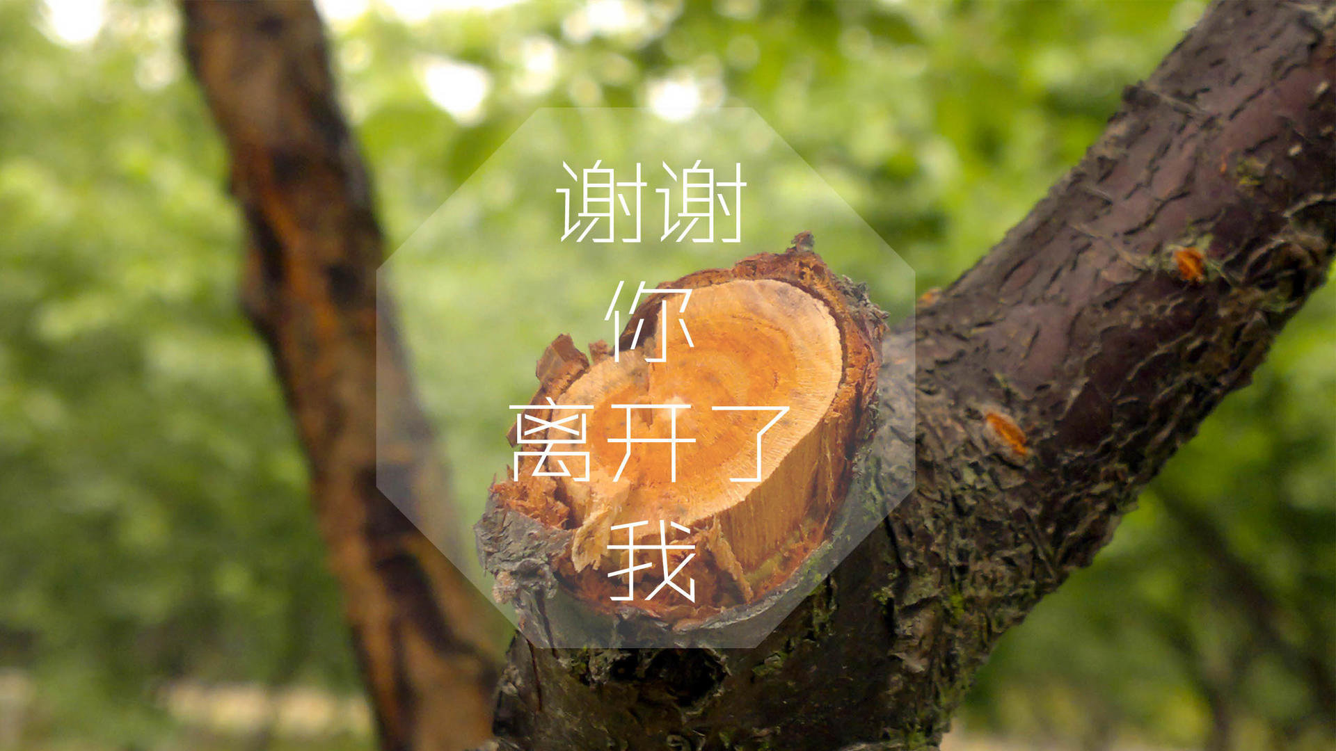 文字控    伤情的离开