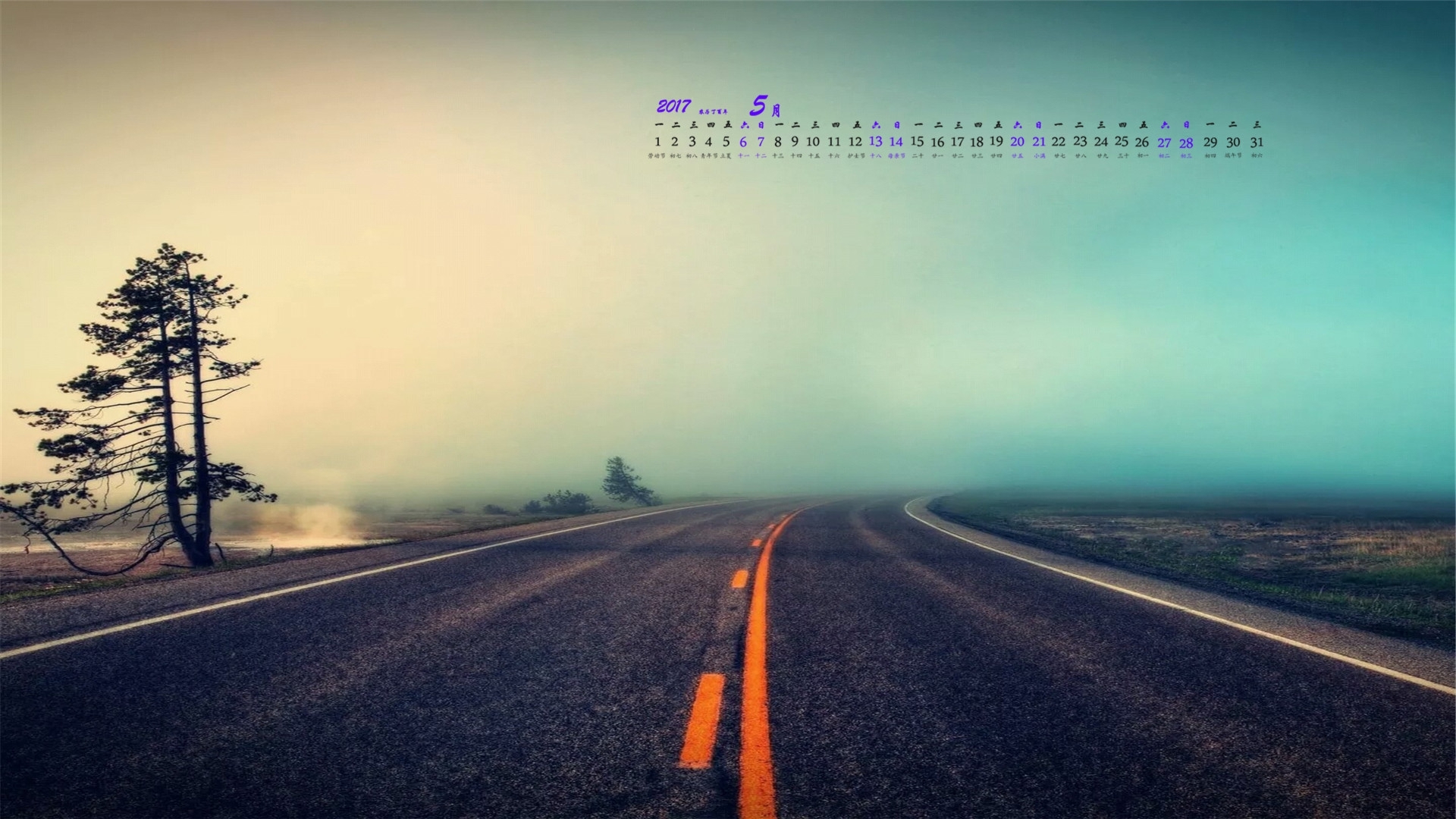 2017年5月 道路